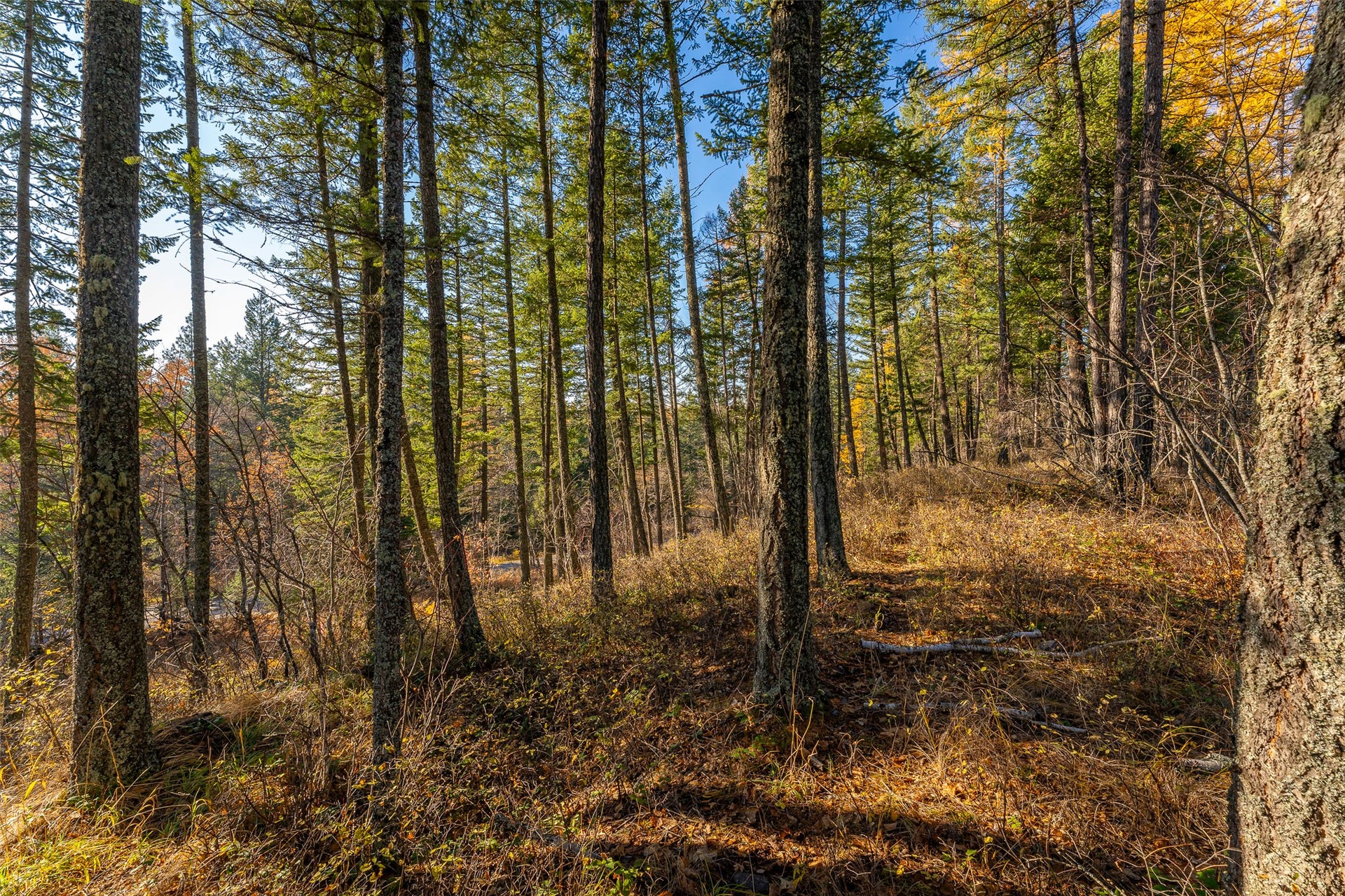 150 & 156 Peters Creek Way, Kalispell, MT 59901 150 & 156 Peters Creek Way, Kalispell, MT 59901