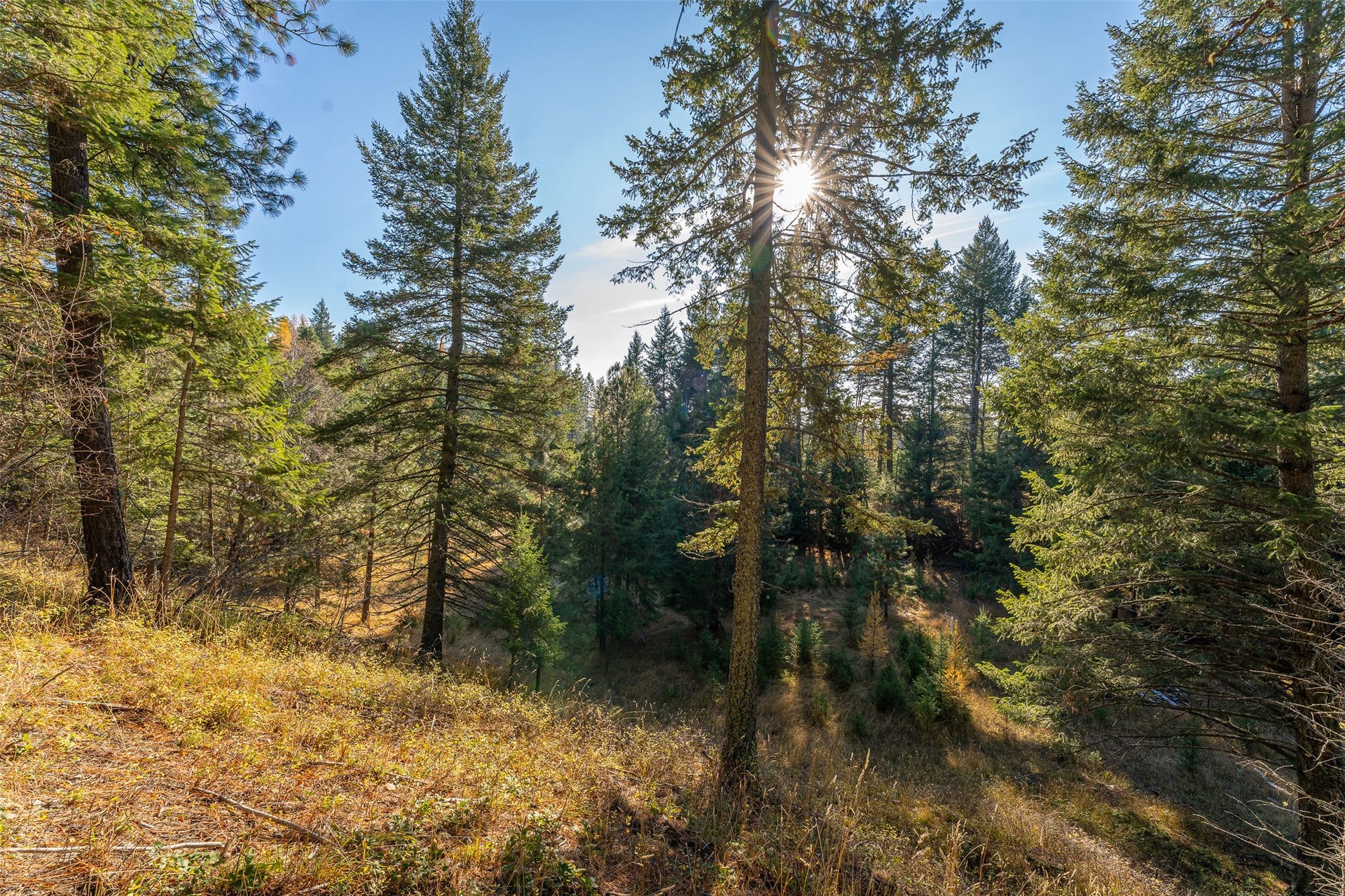 150 & 156 Peters Creek Way, Kalispell, MT 59901 150 & 156 Peters Creek Way, Kalispell, MT 59901