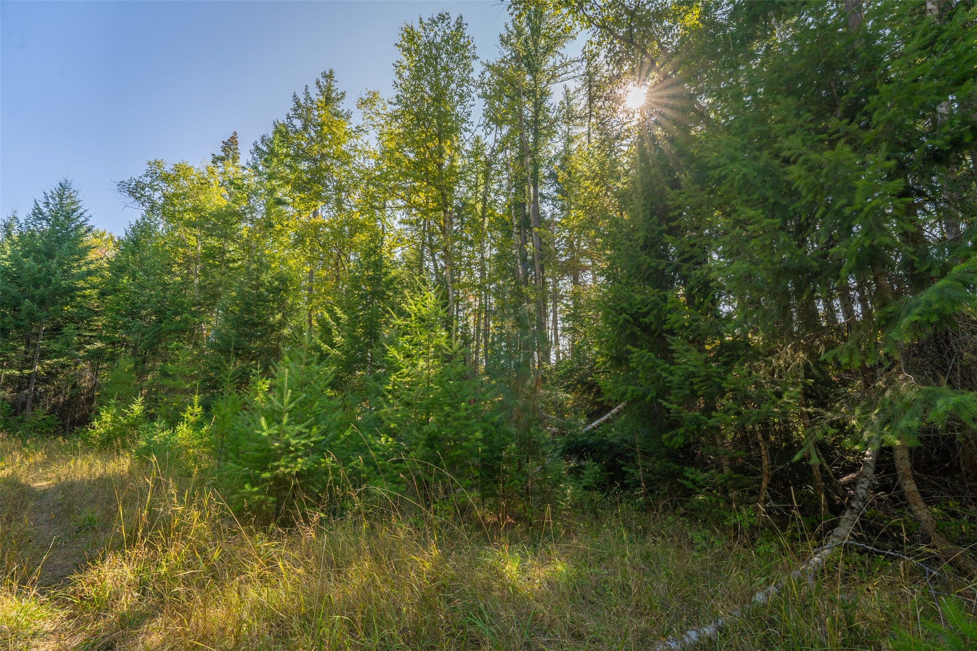150 & 156 Peters Creek Way, Kalispell, MT 59901 150 & 156 Peters Creek Way, Kalispell, MT 59901