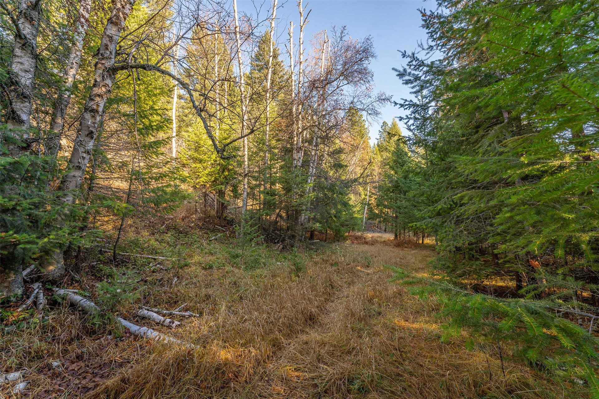 150 & 156 Peters Creek Way, Kalispell, MT 59901 150 & 156 Peters Creek Way, Kalispell, MT 59901