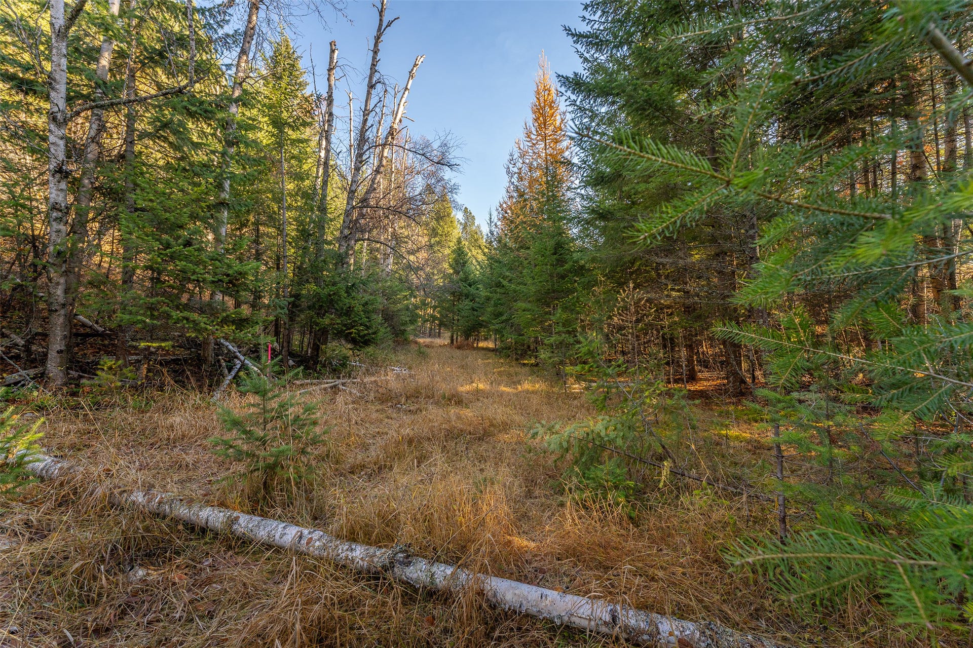 150 & 156 Peters Creek Way, Kalispell, MT 59901 150 & 156 Peters Creek Way, Kalispell, MT 59901