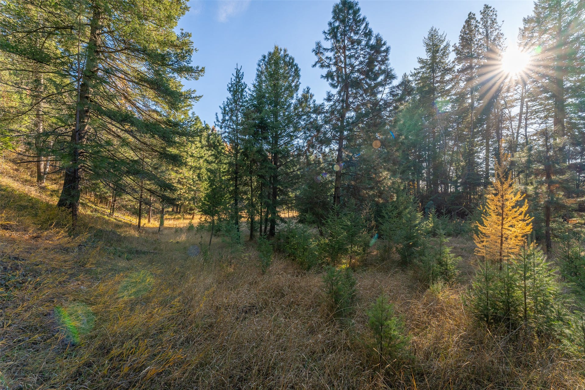 150 & 156 Peters Creek Way, Kalispell, MT 59901 150 & 156 Peters Creek Way, Kalispell, MT 59901