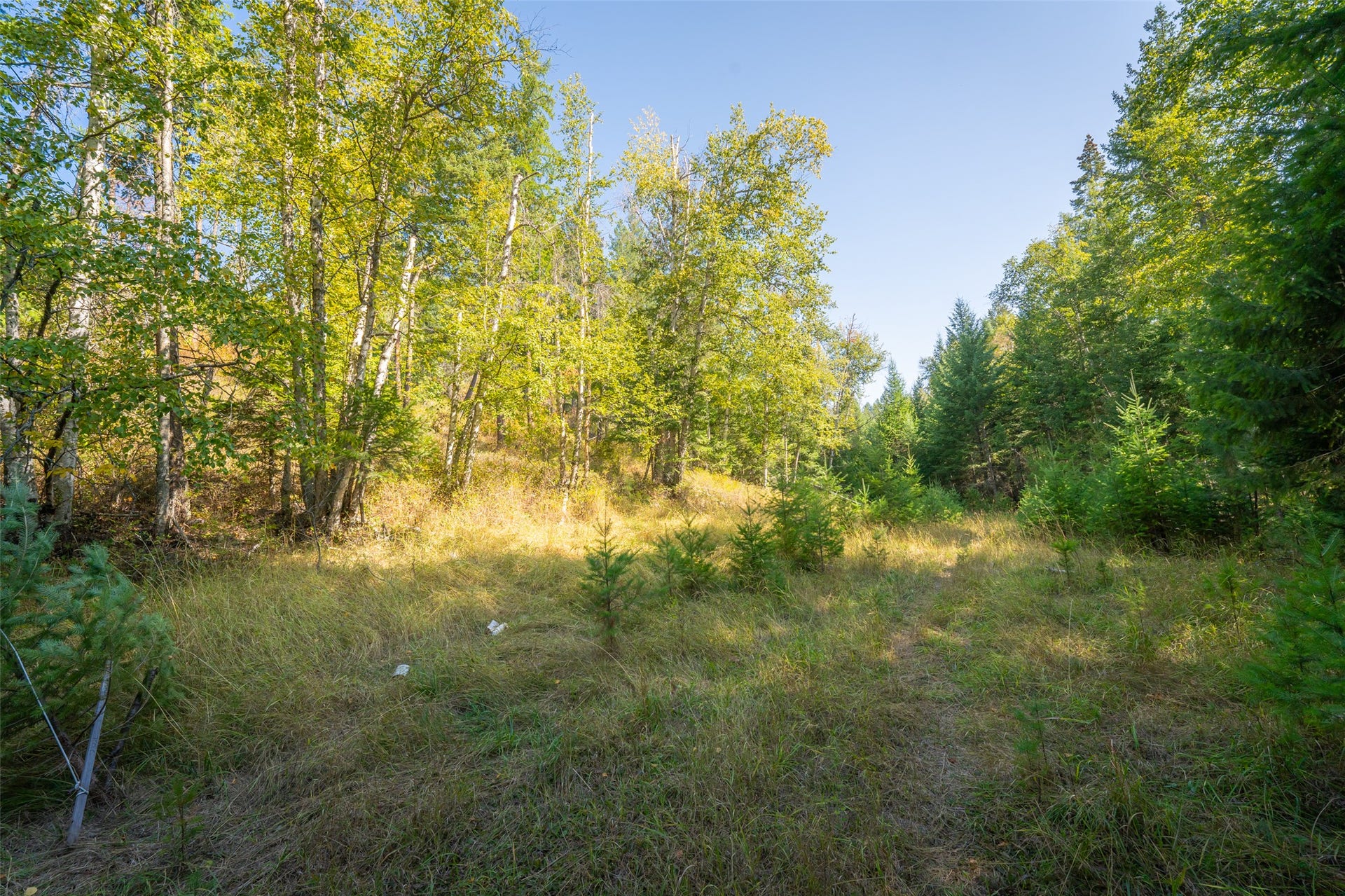 150 & 156 Peters Creek Way, Kalispell, MT 59901 150 & 156 Peters Creek Way, Kalispell, MT 59901