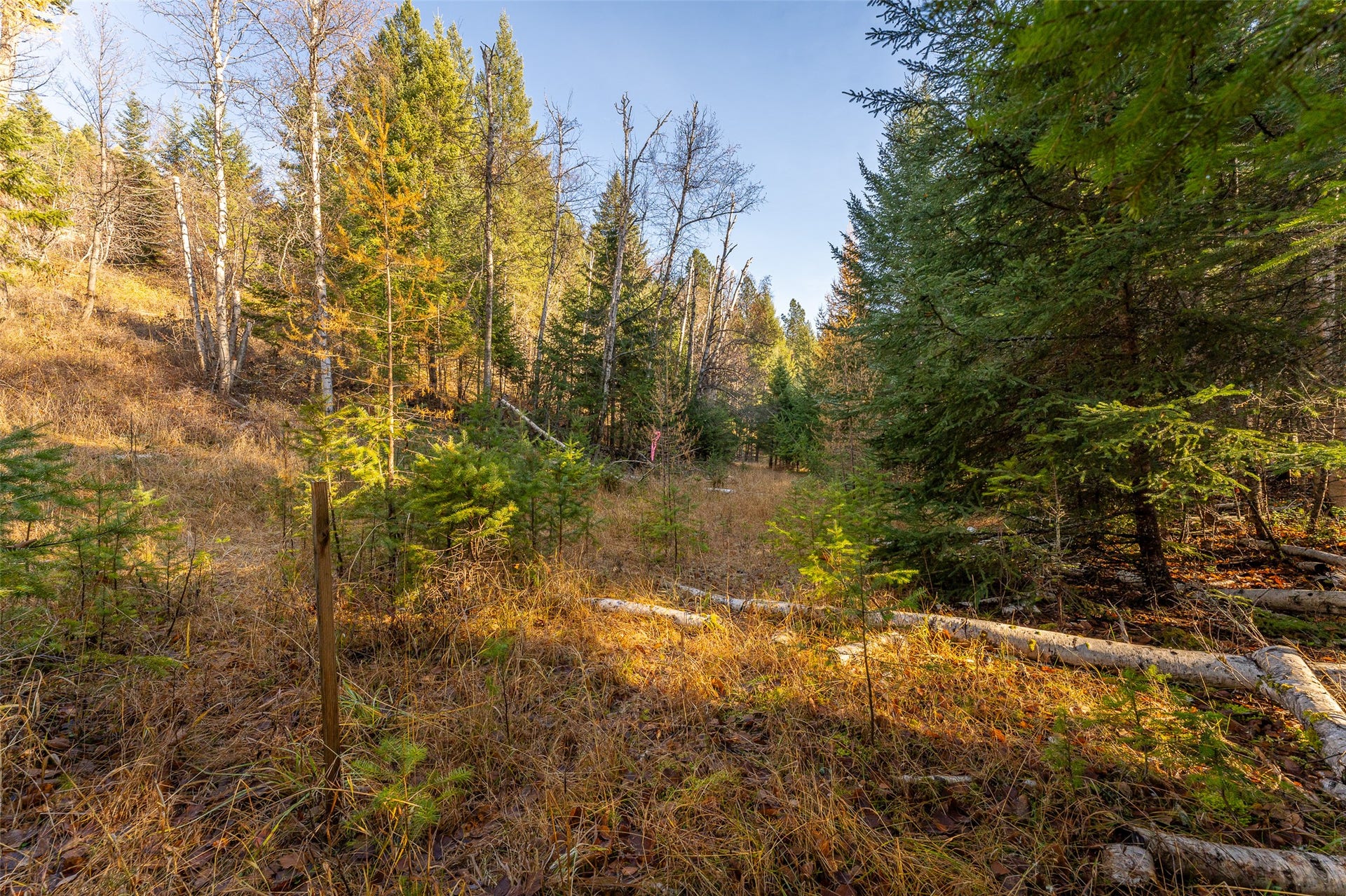 150 & 156 Peters Creek Way, Kalispell, MT 59901 150 & 156 Peters Creek Way, Kalispell, MT 59901
