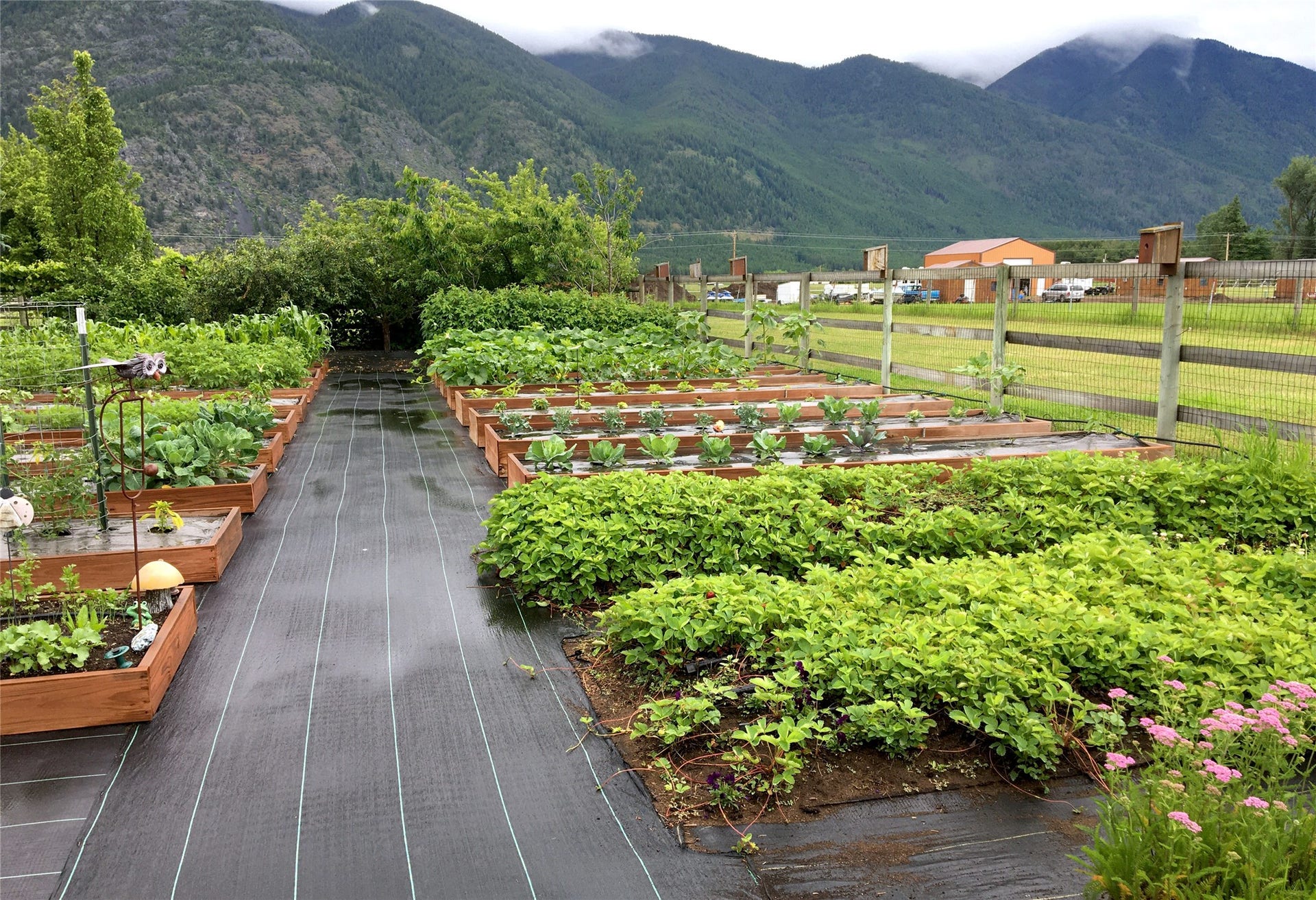 556 Windy Acres Drive, Columbia Falls, MT 59912 Garden