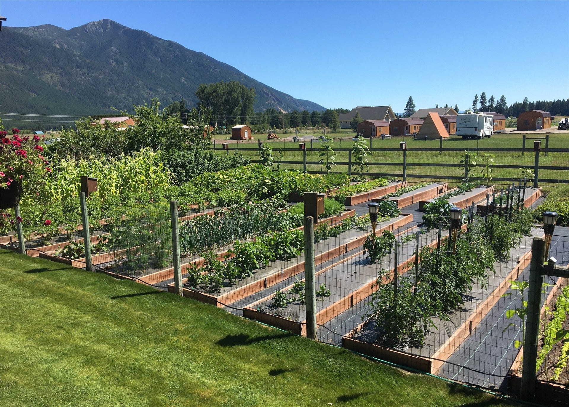 556 Windy Acres Drive, Columbia Falls, MT 59912 Garden in Full Swing