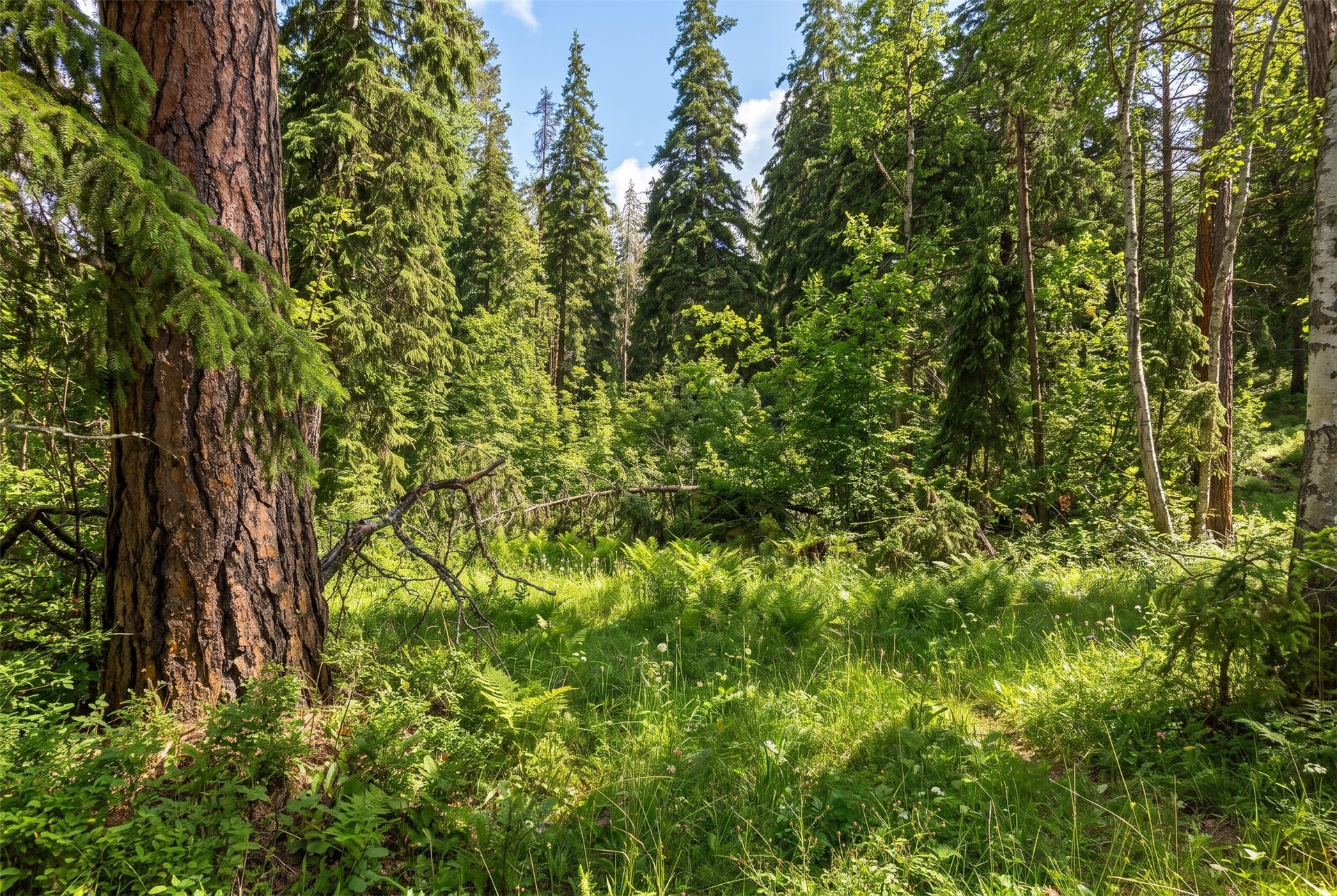 375 Ranch Road, Bigfork, MT 59911 AI-generated seasonal visualization; original photo immediately following