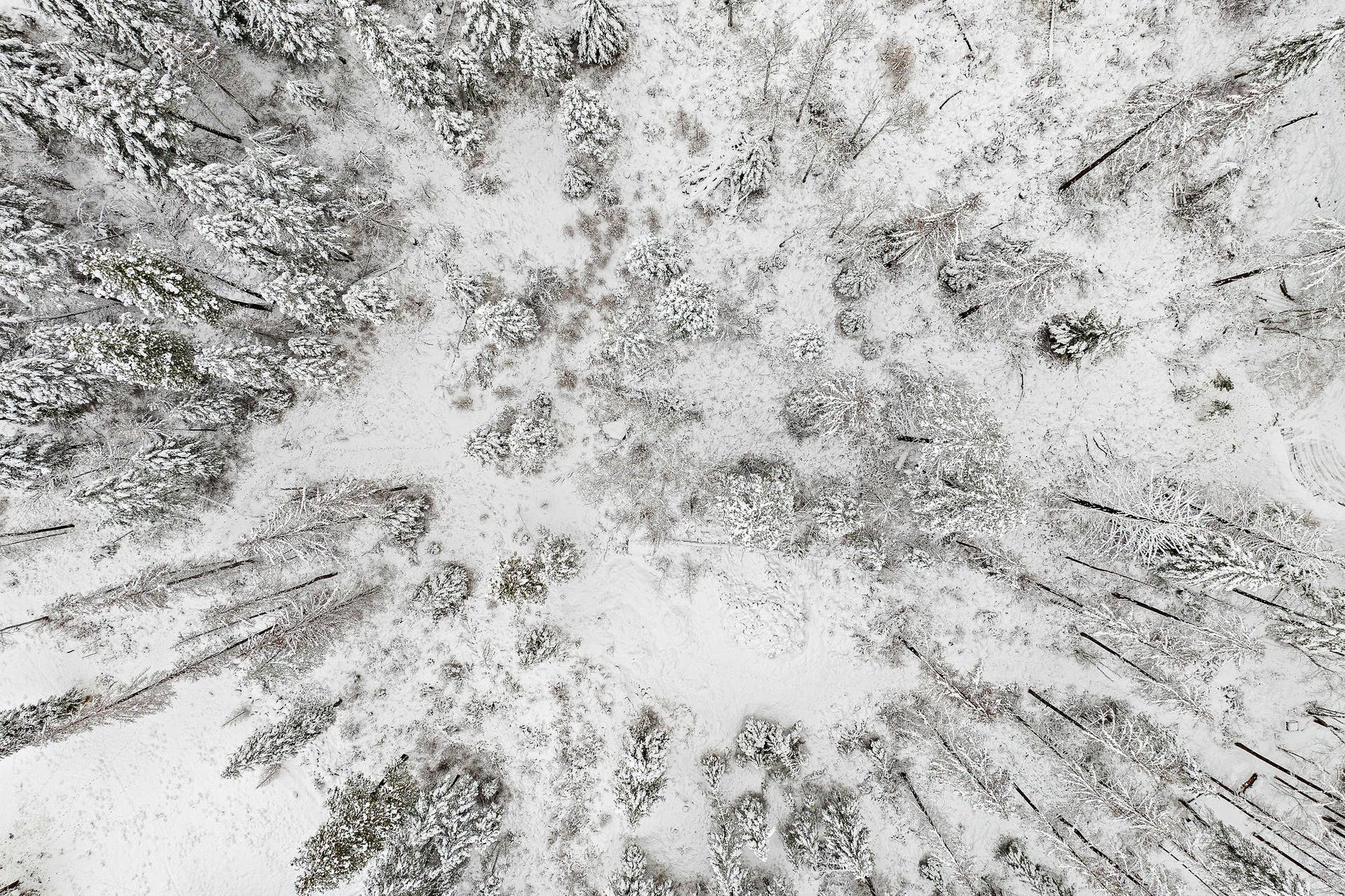 375 Ranch Road, Bigfork, MT 59911 Overhead aerial view of the lot