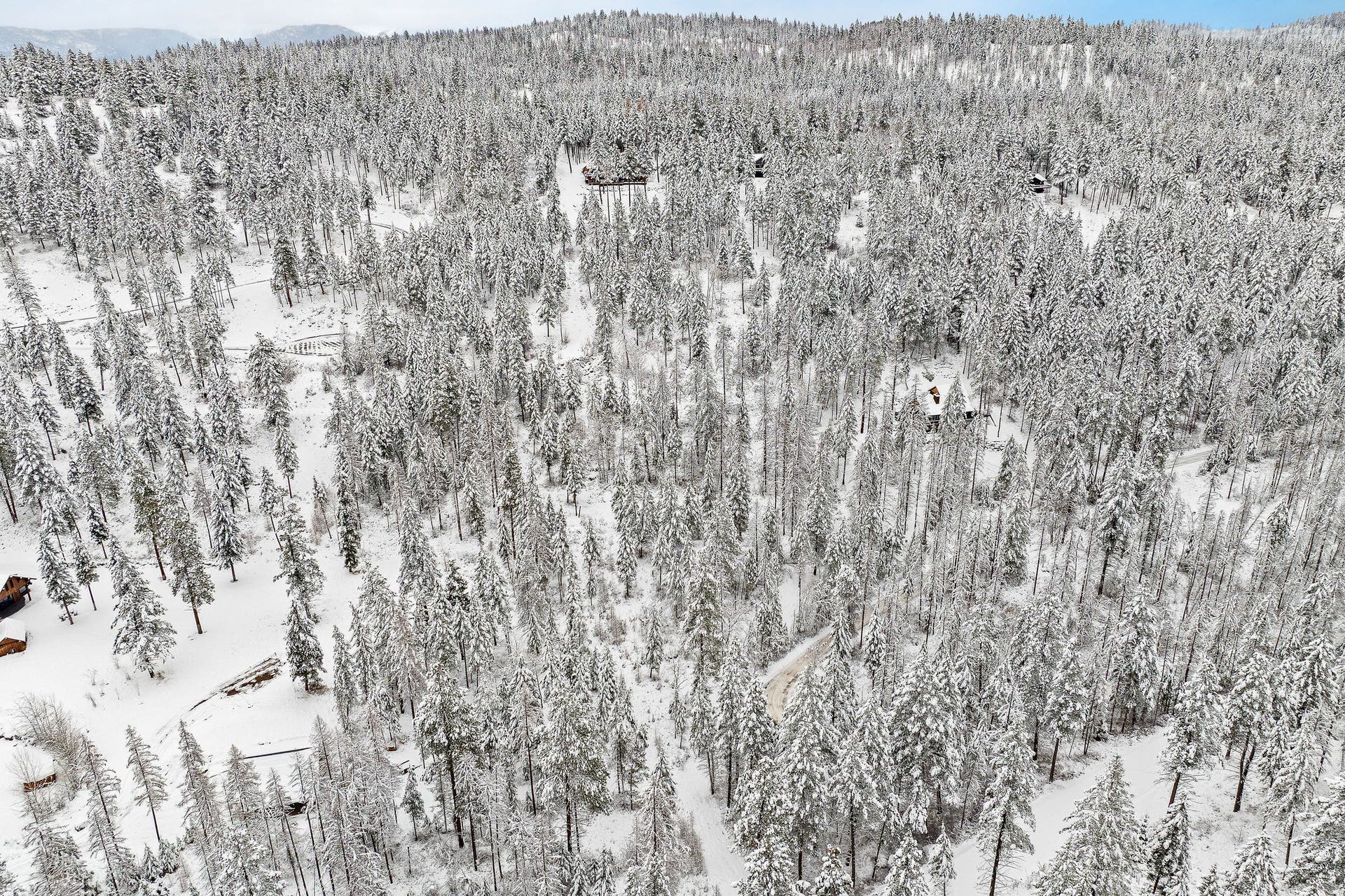 375 Ranch Road, Bigfork, MT 59911 Aerial shot showing the surrounding well-spaced homes for privacy and community
