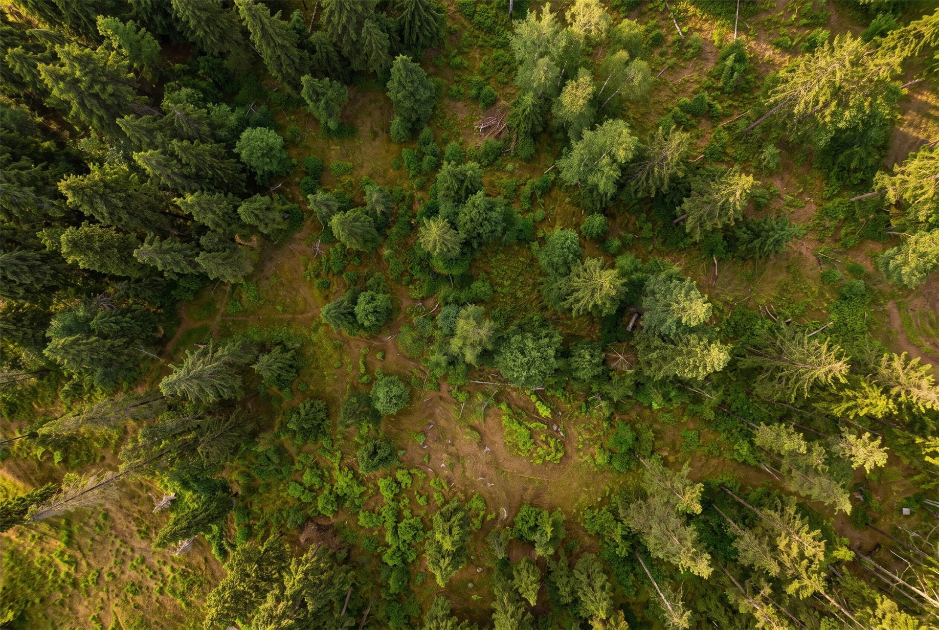 375 Ranch Road, Bigfork, MT 59911 AI-generated seasonal visualization; original photo immediately following