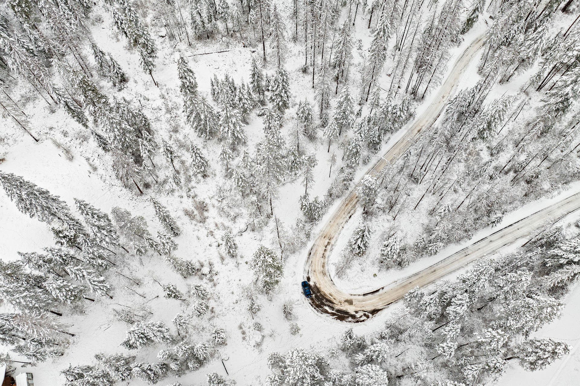375 Ranch Road, Bigfork, MT 59911 Aerial shot of the access road winding through the private forest setting