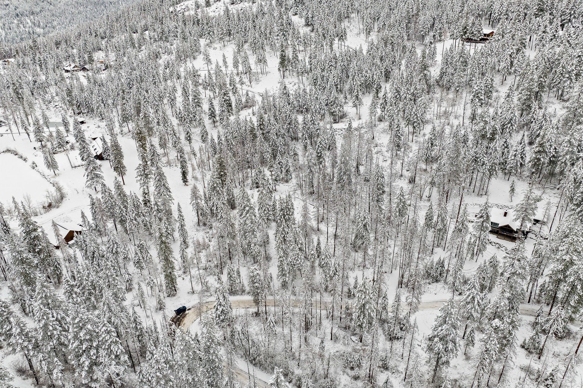 375 Ranch Road, Bigfork, MT 59911 Showcasing the secluded, private location nestled in the trees