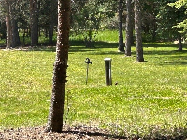72 Pilots Trail, Bigfork, MT 59911 New well.