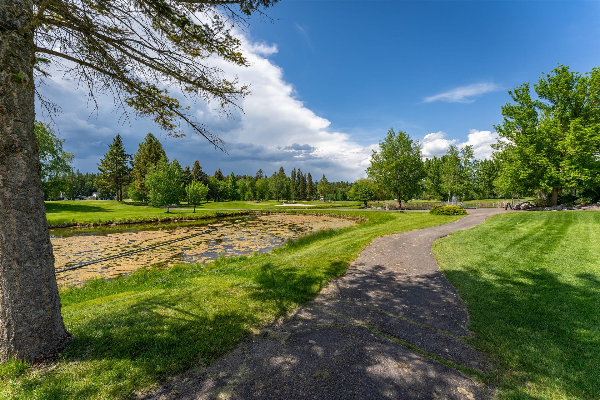 1018 Saint Andrews Drive, Columbia Falls, MT 59912 1018 Saint Andrews Drive, Columbia Falls, MT 59912