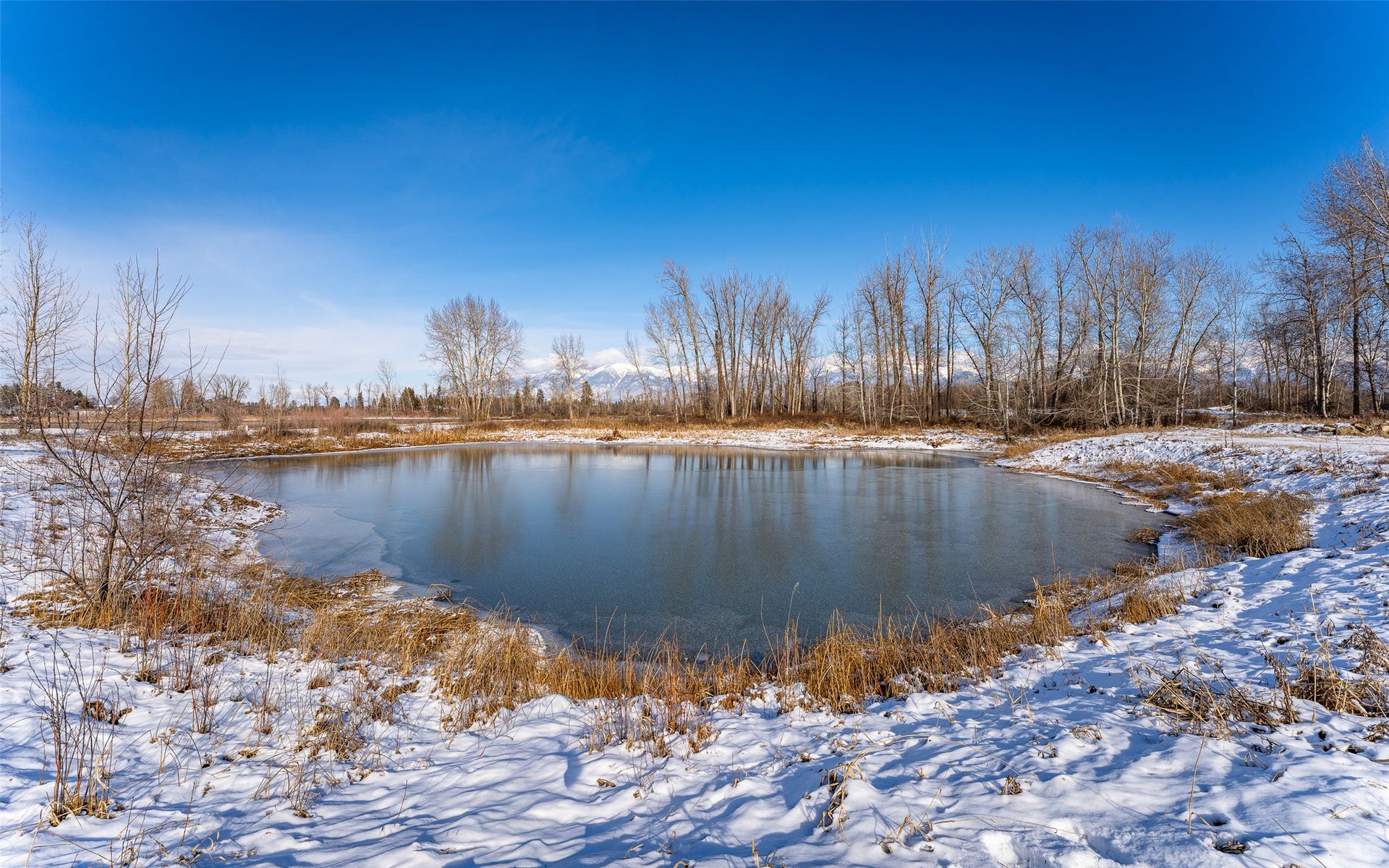 905 Wagner Lane, Kalispell, MT 59901 Close up of pond