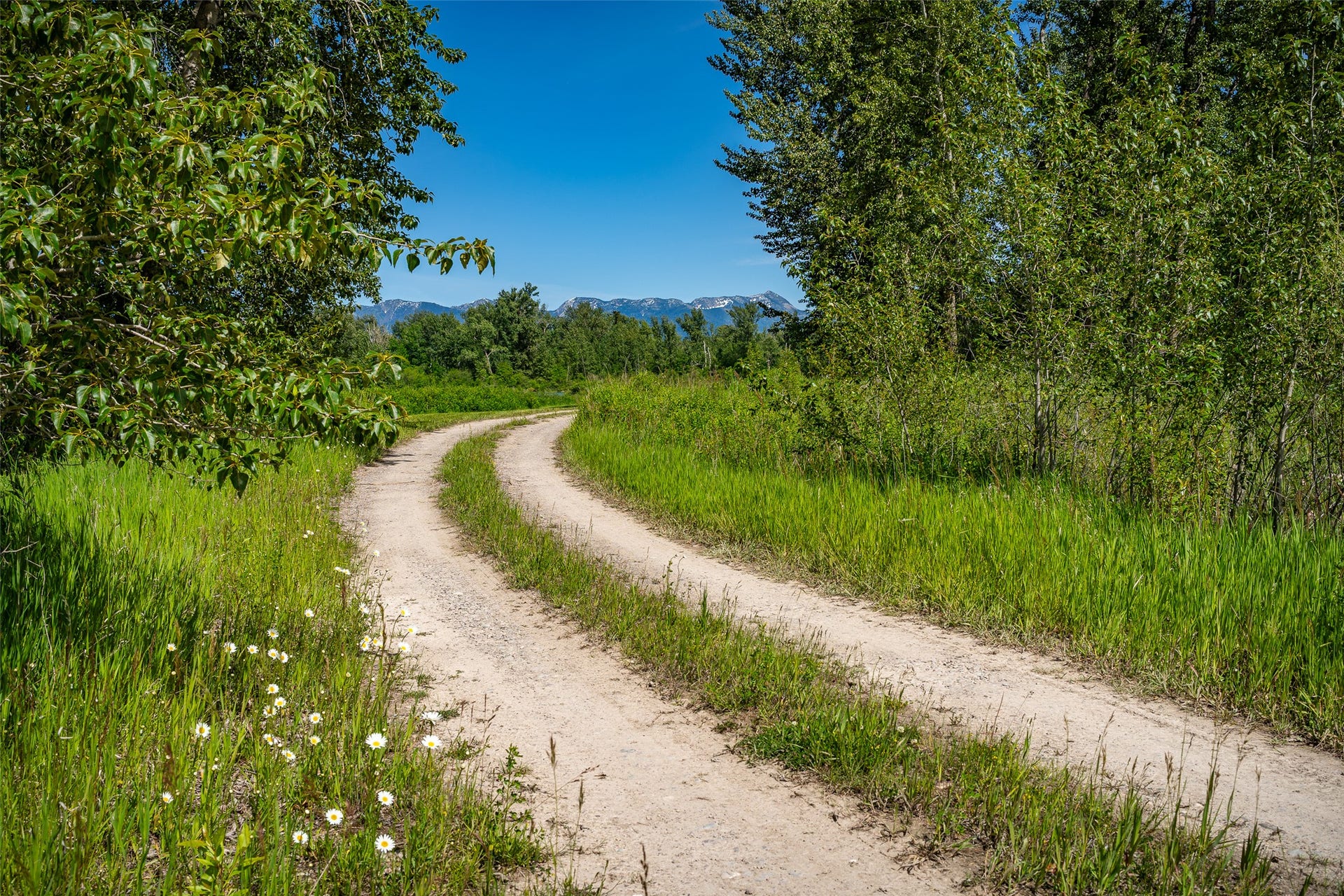 905 Wagner Lane, Kalispell, MT 59901 Road into property
