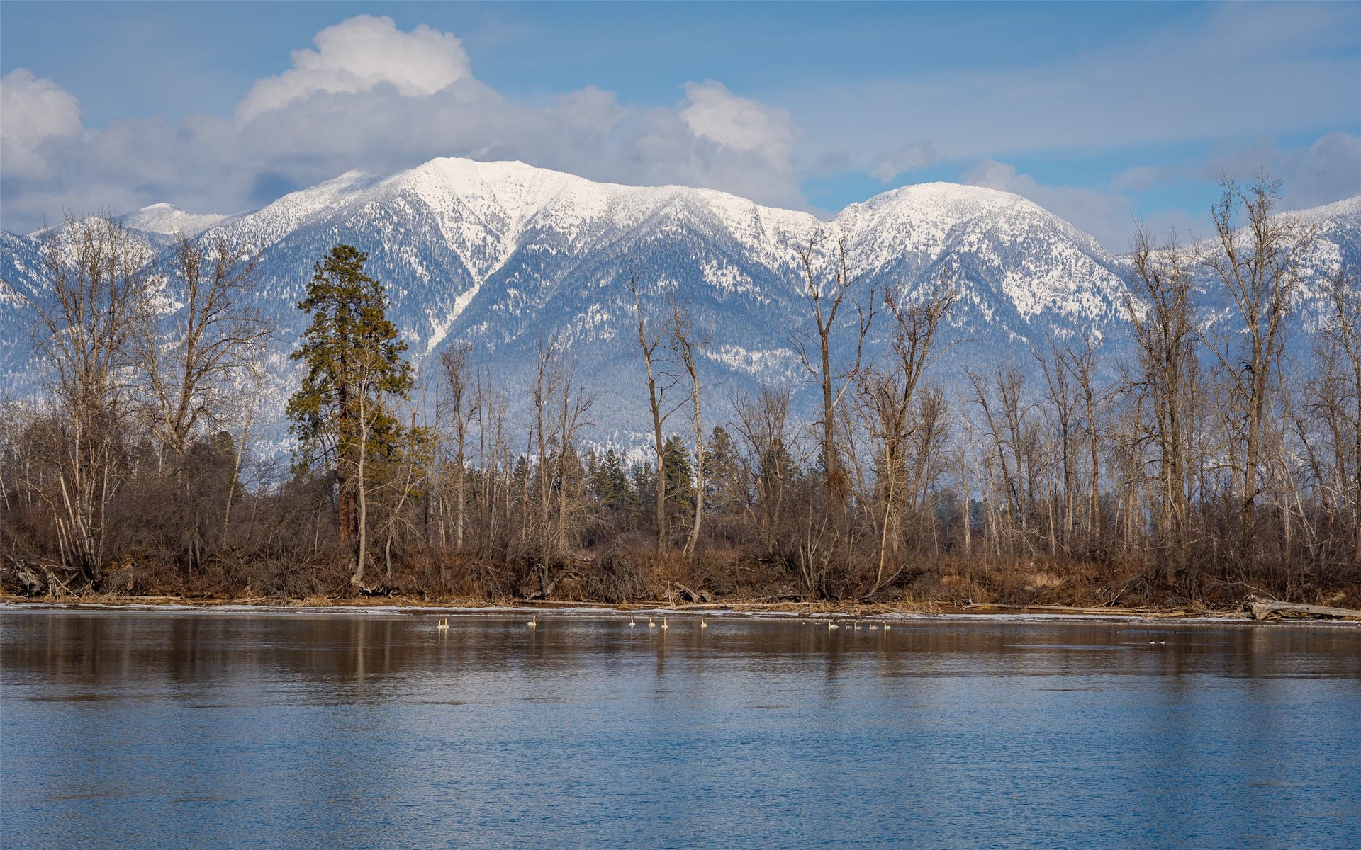 905 Wagner Lane, Kalispell, MT 59901 905 Wagner Lane, Kalispell, MT 59901