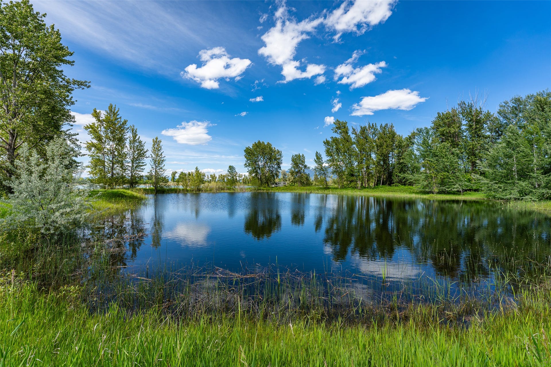 905 Wagner Lane, Kalispell, MT 59901 View of pond