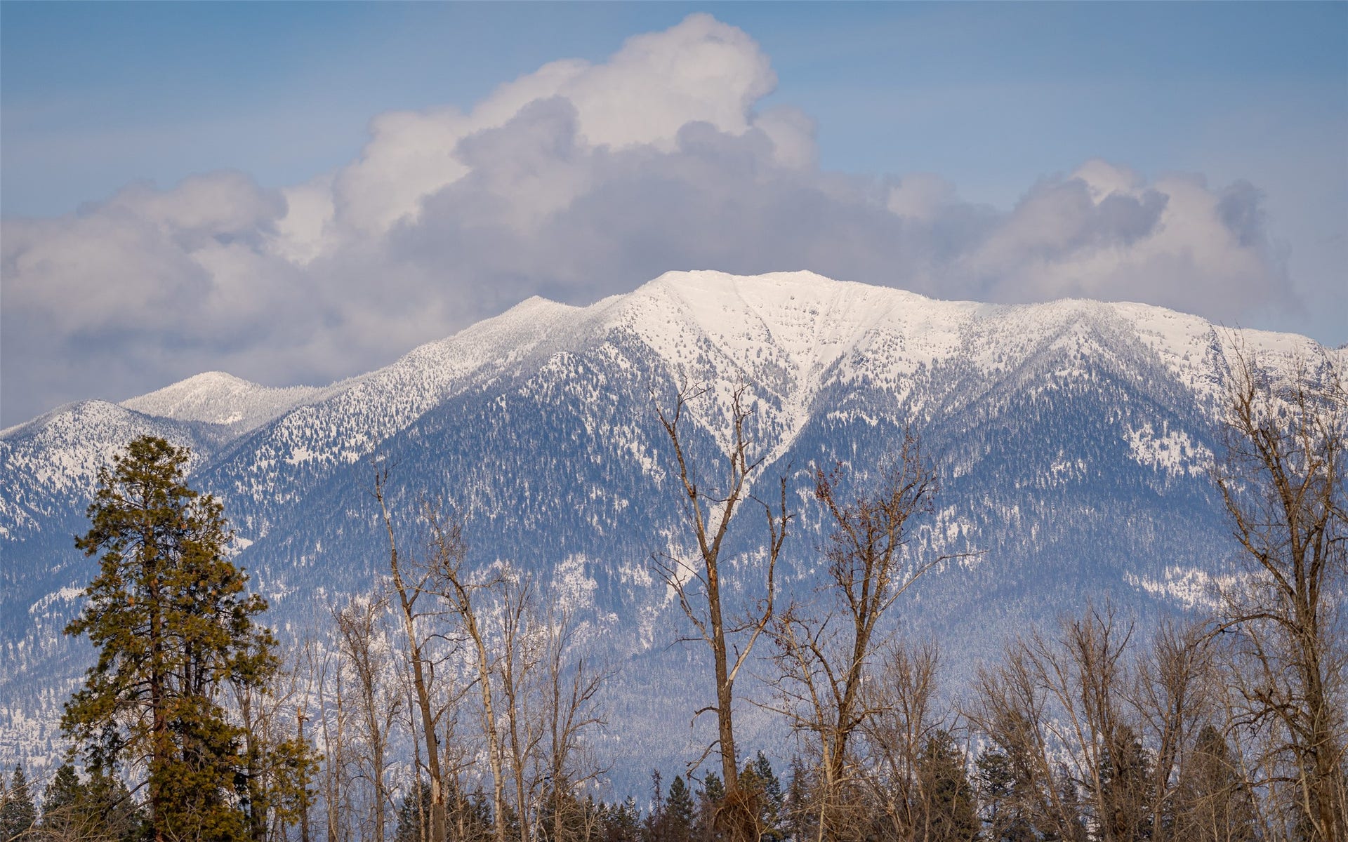 905 Wagner Lane, Kalispell, MT 59901 905 Wagner Lane, Kalispell, MT 59901