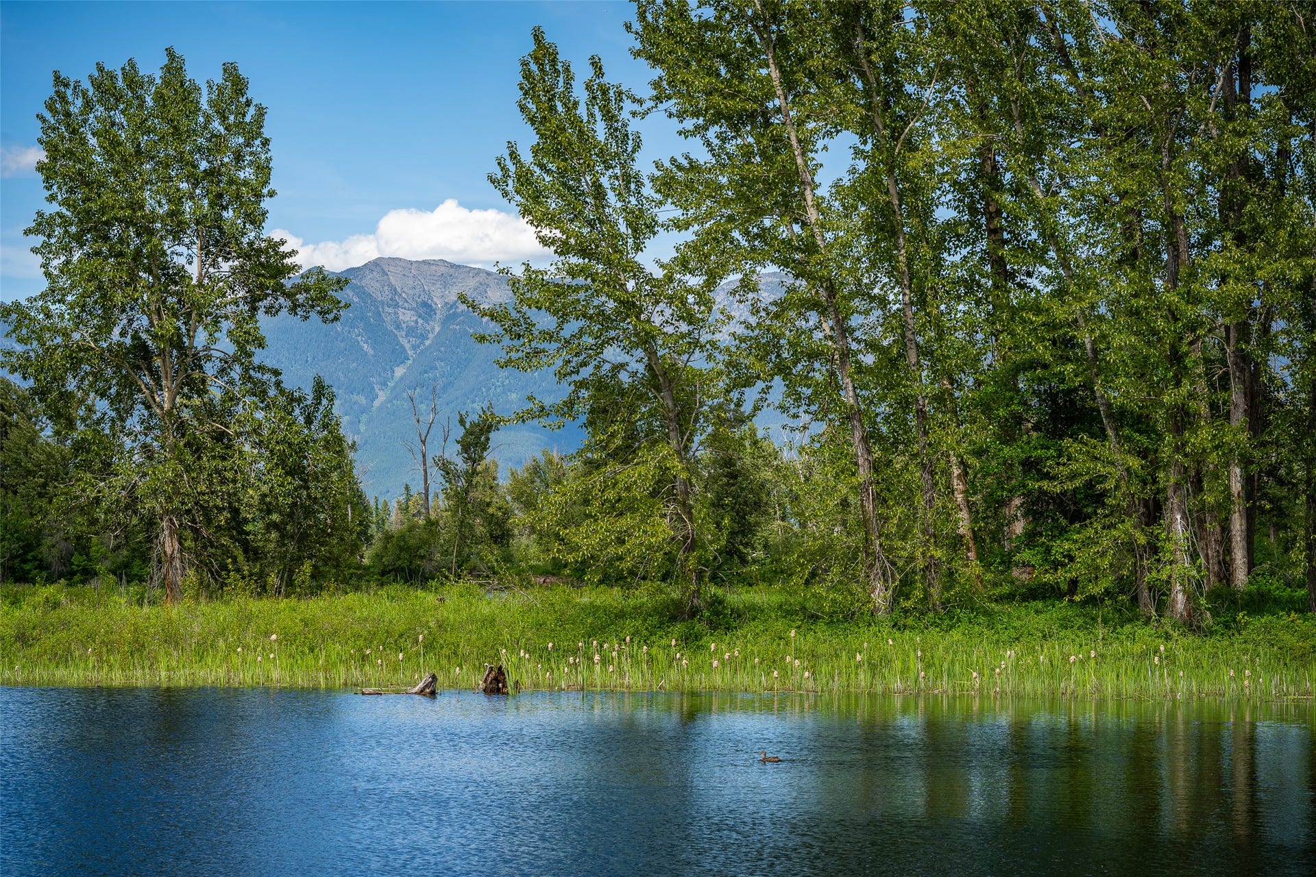 905 Wagner Lane, Kalispell, MT 59901 View of mountains looking over pond