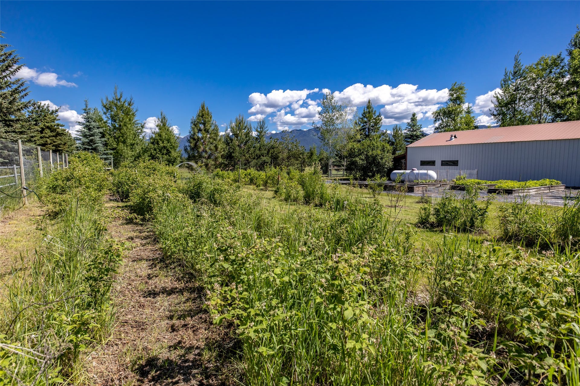 182 Moondance Trail, Bigfork, MT 59911 Gardens