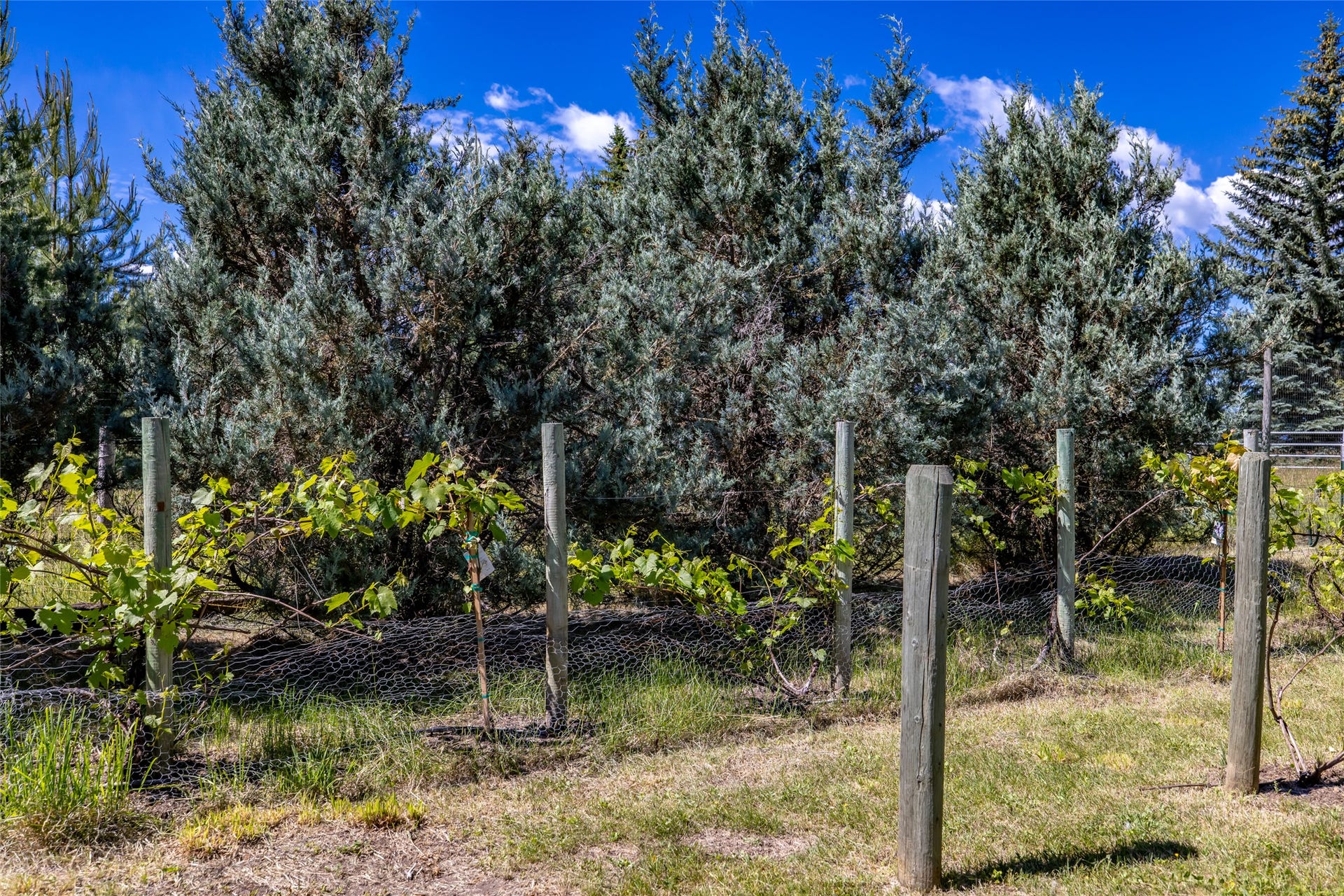 182 Moondance Trail, Bigfork, MT 59911 182 Moondance Trail, Bigfork, MT 59911
