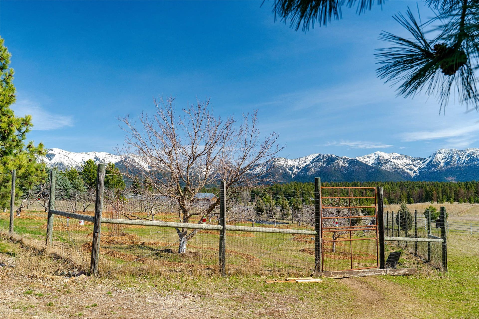 182 Moondance Trail, Bigfork, MT 59911 Orchard