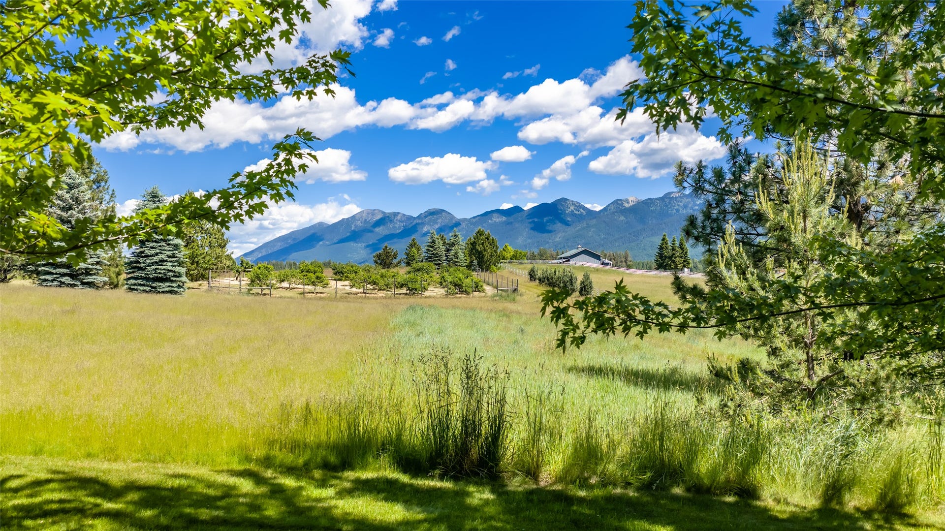 182 Moondance Trail, Bigfork, MT 59911 Views
