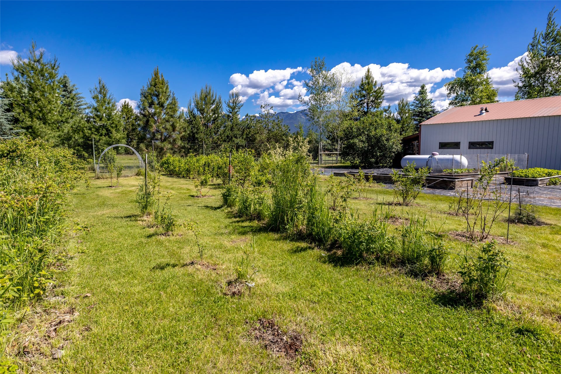 182 Moondance Trail, Bigfork, MT 59911 182 Moondance Trail, Bigfork, MT 59911