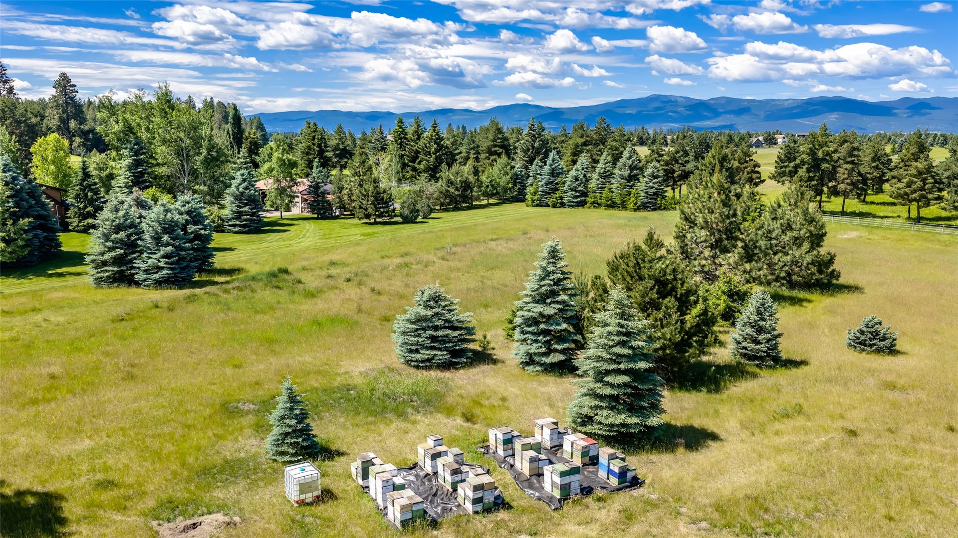 182 Moondance Trail, Bigfork, MT 59911 Importing bee's from the keeper for the trees.