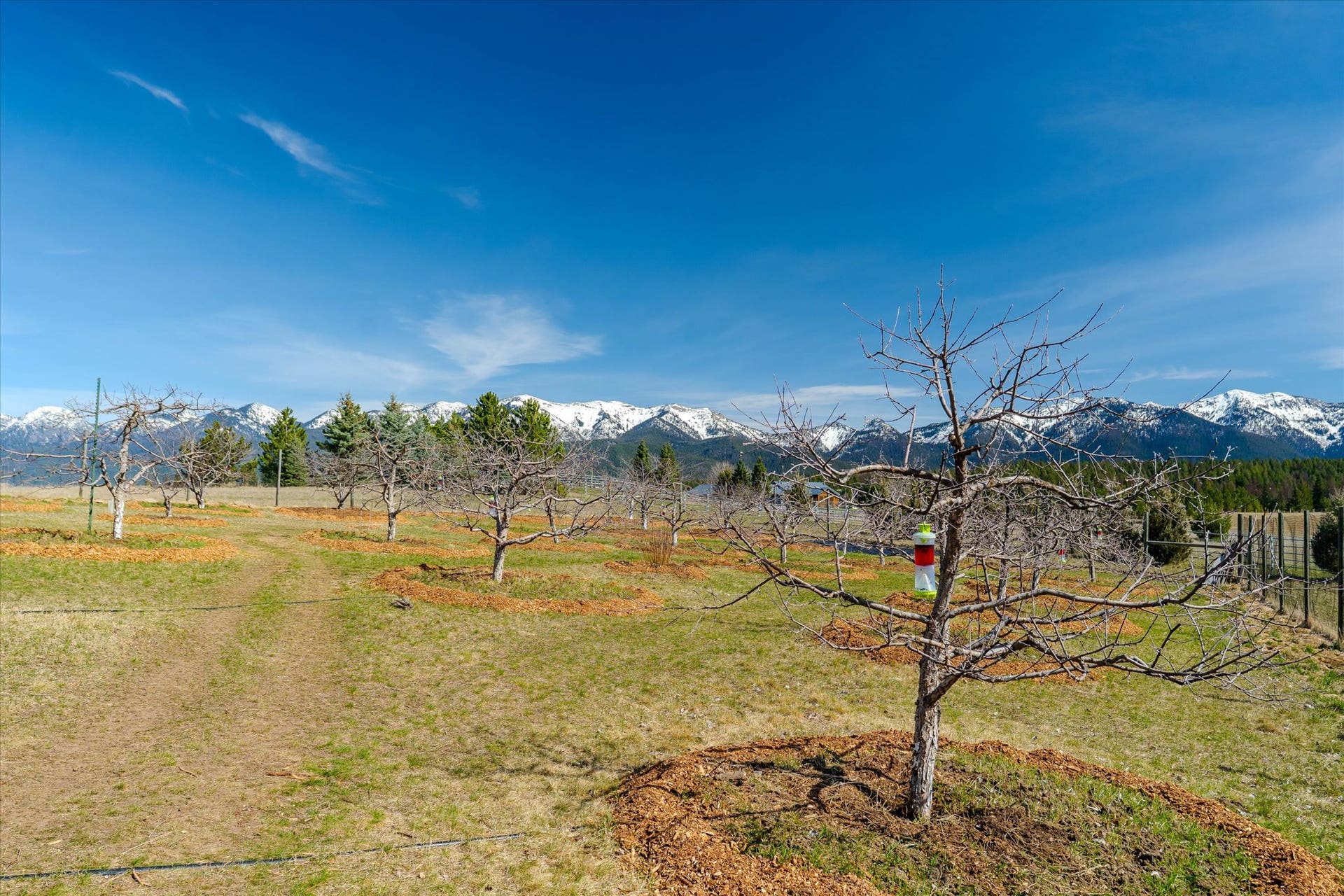 182 Moondance Trail, Bigfork, MT 59911 182 Moondance Trail, Bigfork, MT 59911
