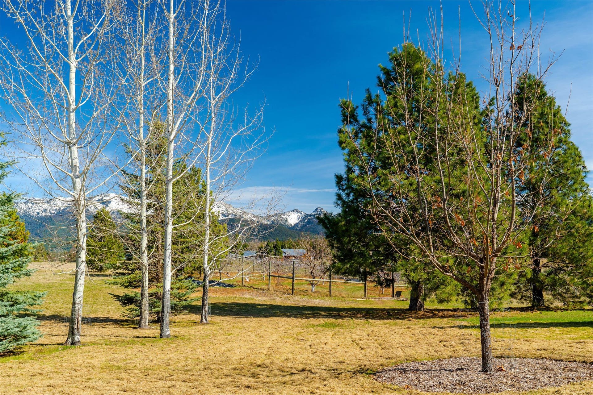 182 Moondance Trail, Bigfork, MT 59911 182 Moondance Trail, Bigfork, MT 59911