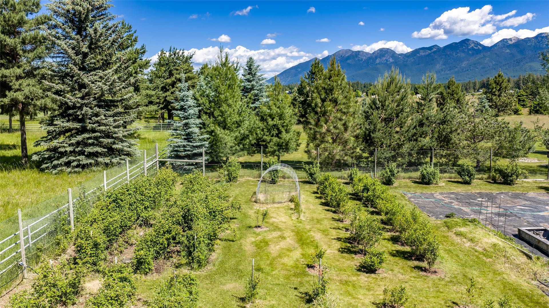 182 Moondance Trail, Bigfork, MT 59911 182 Moondance Trail, Bigfork, MT 59911