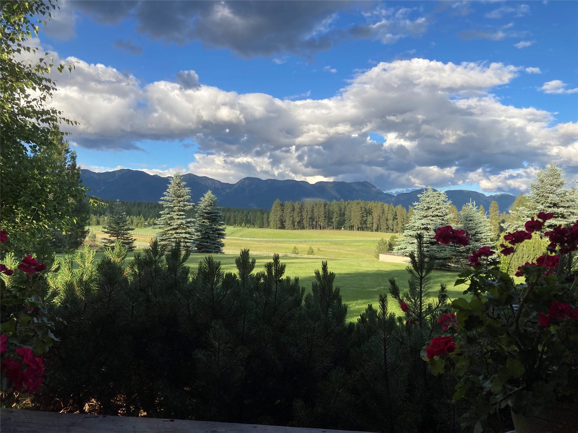 182 Moondance Trail, Bigfork, MT 59911 182 Moondance Trail, Bigfork, MT 59911