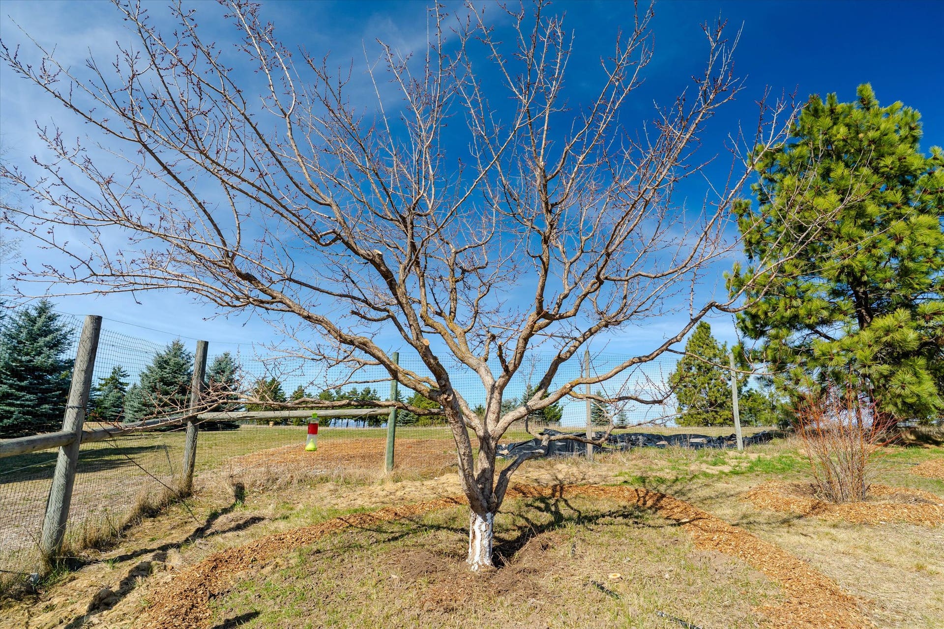 182 Moondance Trail, Bigfork, MT 59911 Orchards