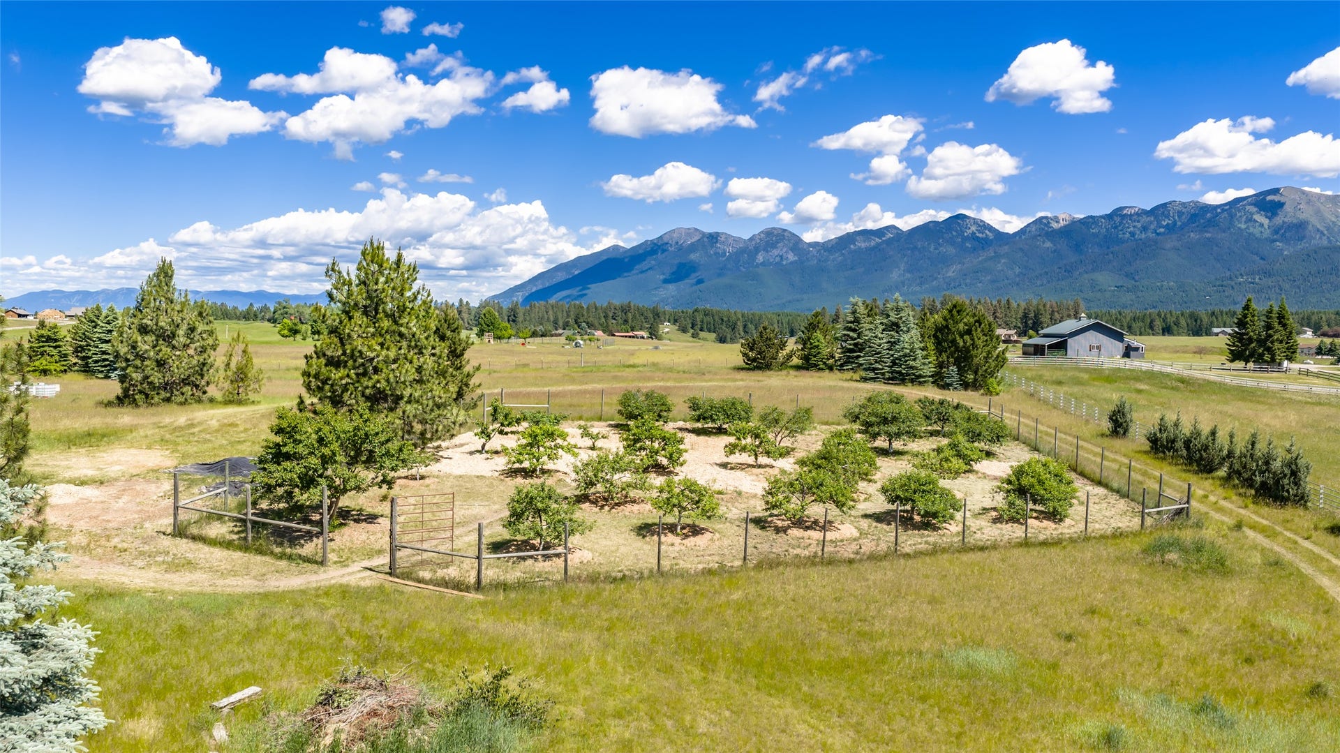 182 Moondance Trail, Bigfork, MT 59911 182 Moondance Trail, Bigfork, MT 59911