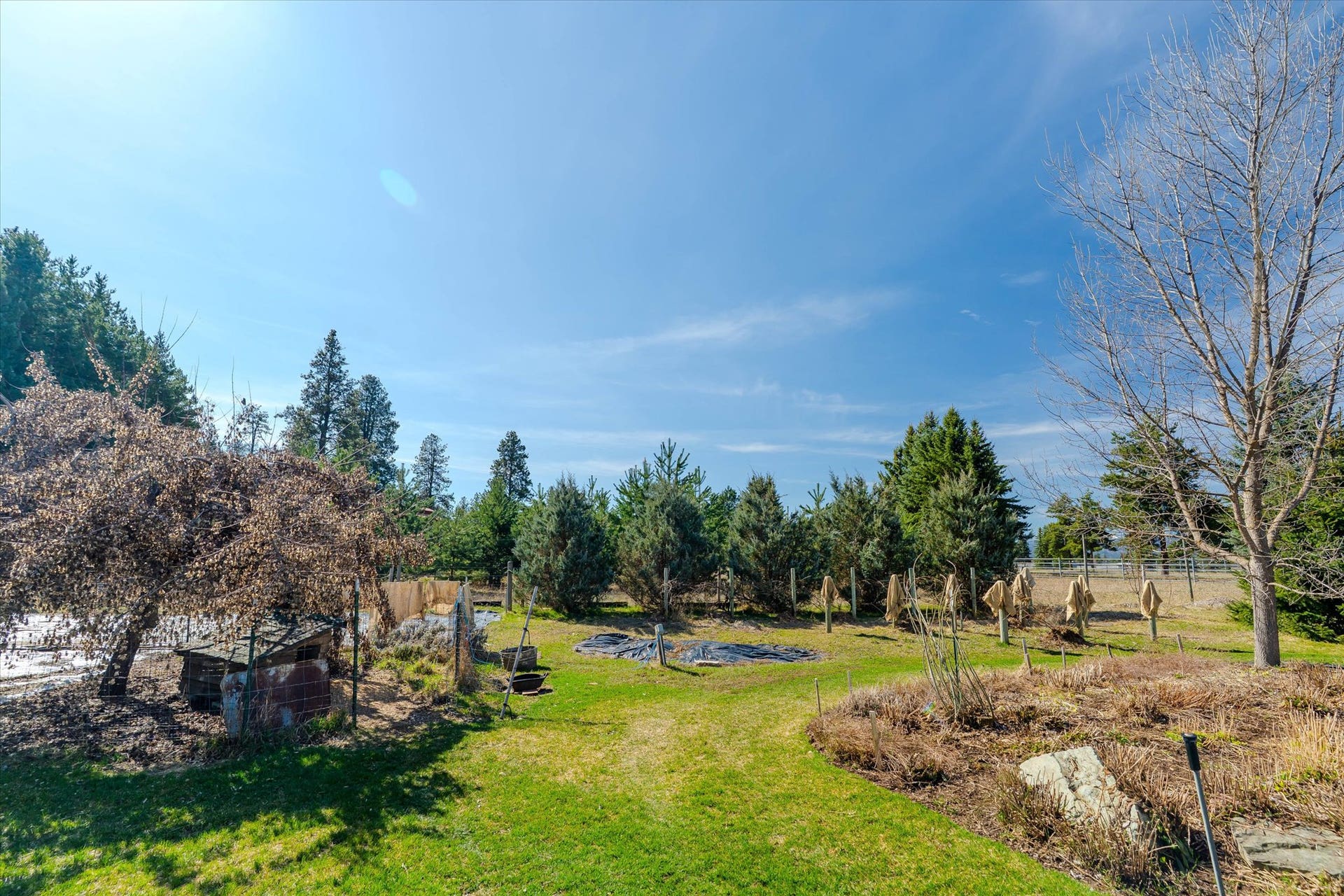 182 Moondance Trail, Bigfork, MT 59911 Grounds.