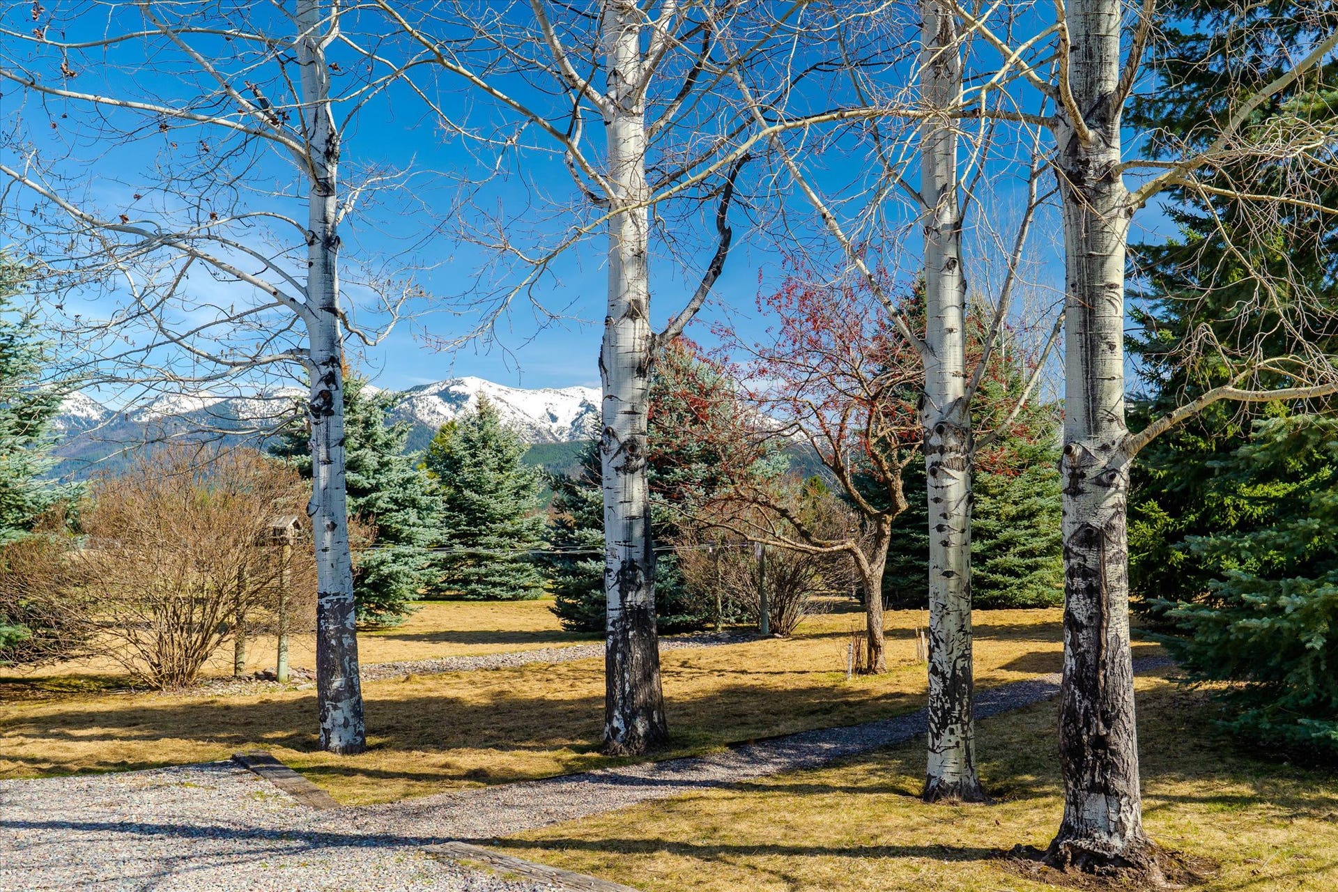 182 Moondance Trail, Bigfork, MT 59911 182 Moondance Trail, Bigfork, MT 59911