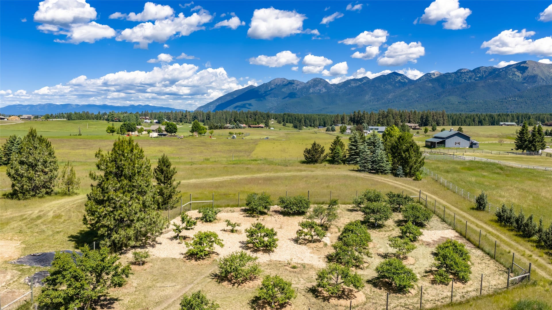 182 Moondance Trail, Bigfork, MT 59911 Orchard