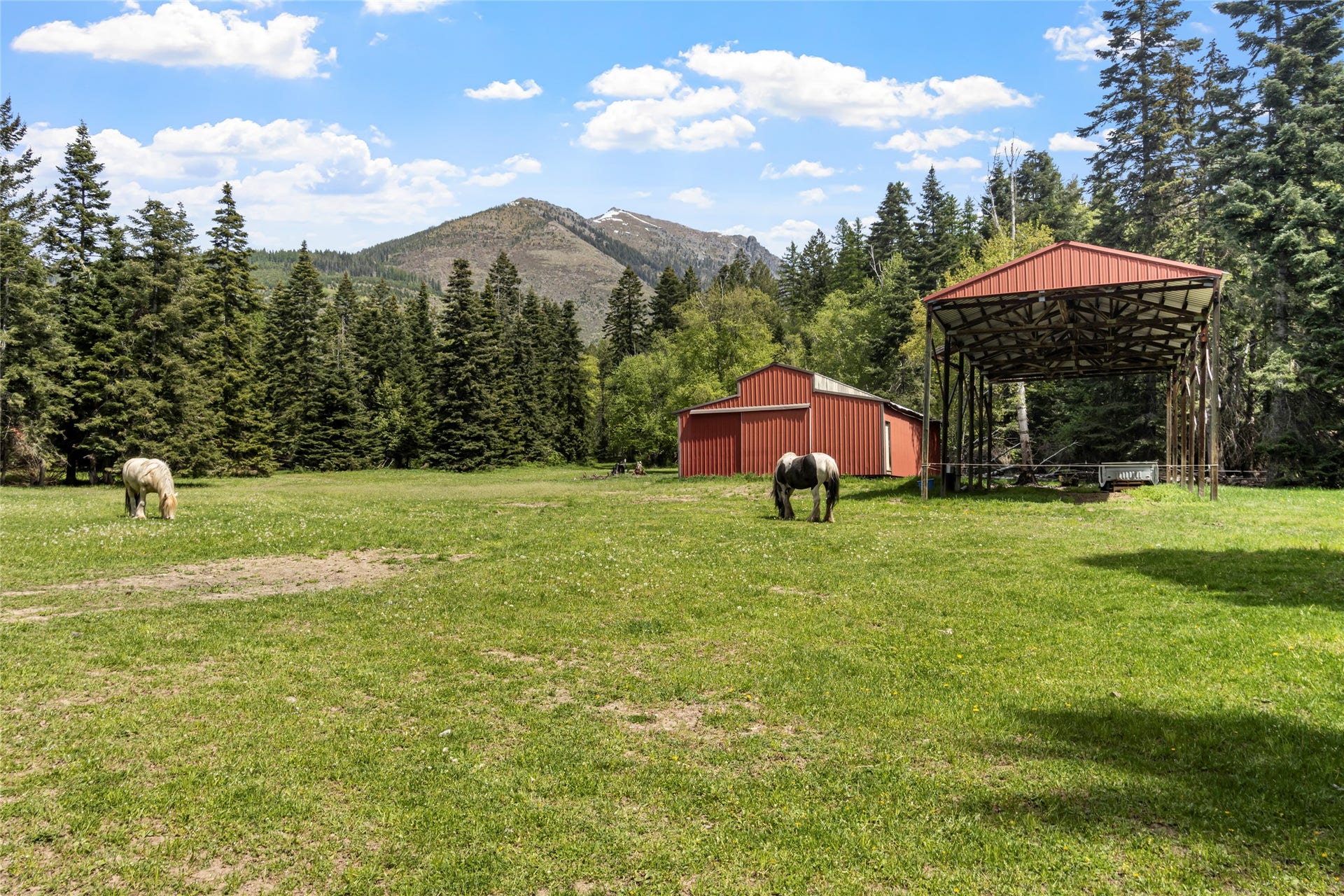 13034 Red Owl Trail, Bigfork, MT 59911 Pasture