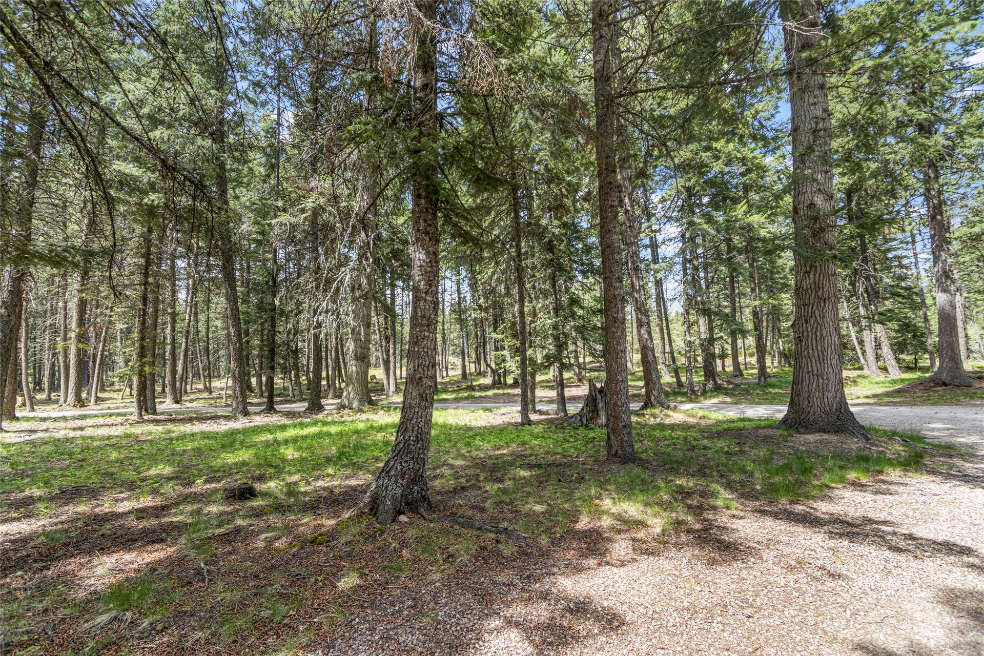 13034 Red Owl Trail, Bigfork, MT 59911 Back Yard