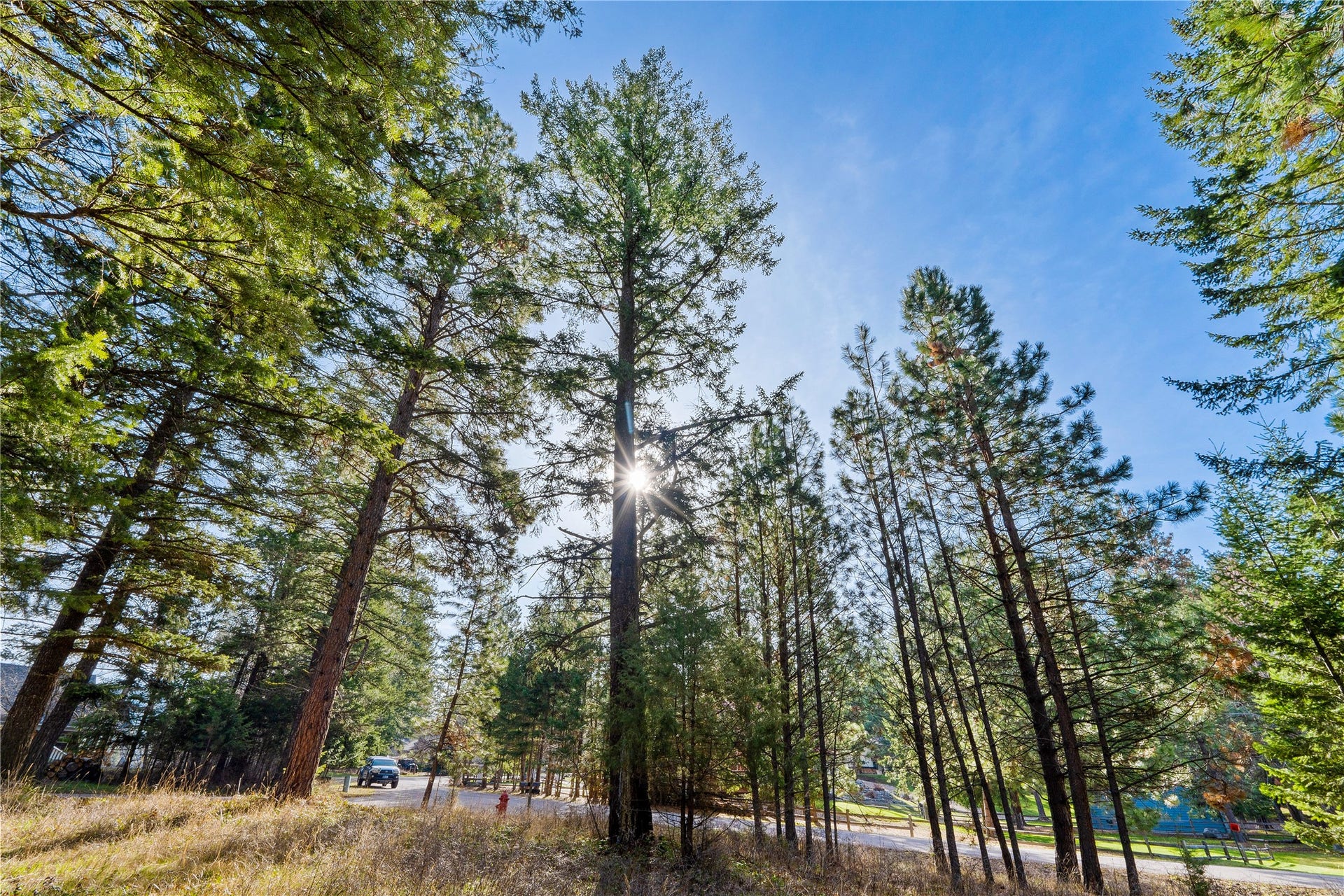 NHN Hilltop Terrace, Bigfork, MT 59911 NHN Hilltop Terrace, Bigfork, MT 59911