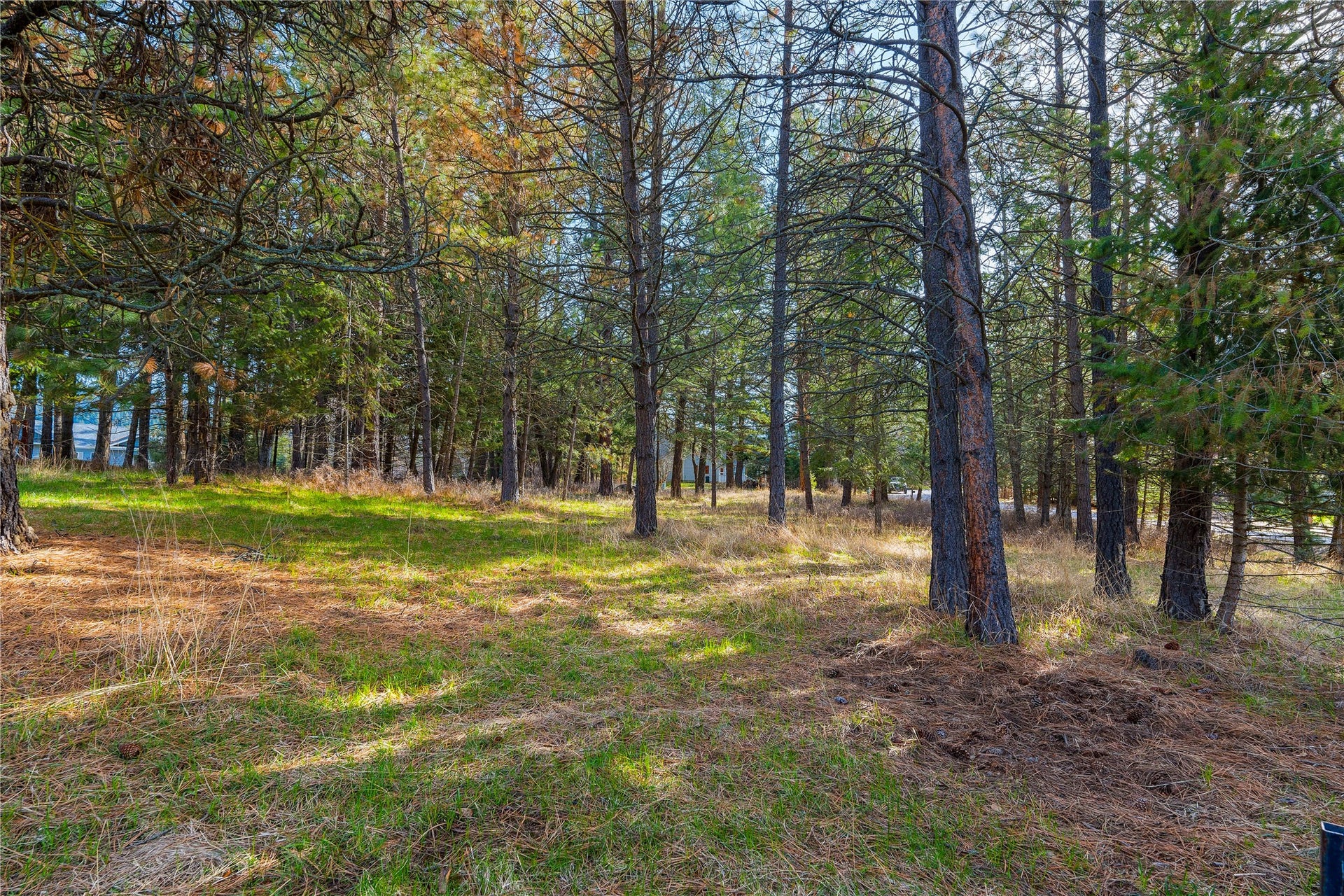 NHN Hilltop Terrace, Bigfork, MT 59911 Open and level lot with nice trees and easy lake view