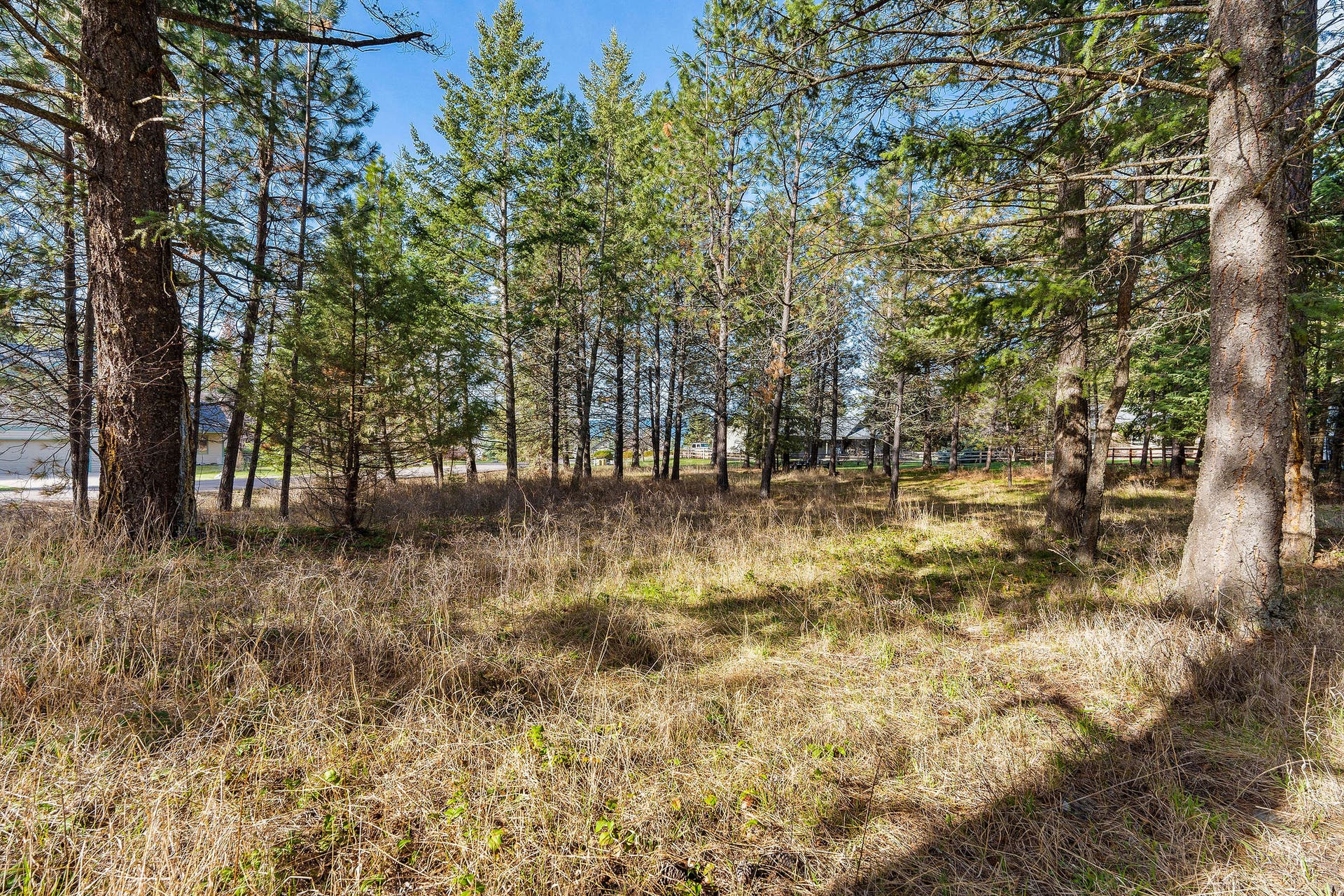 NHN Hilltop Terrace, Bigfork, MT 59911 Open and level lot with nice trees and easy lake view