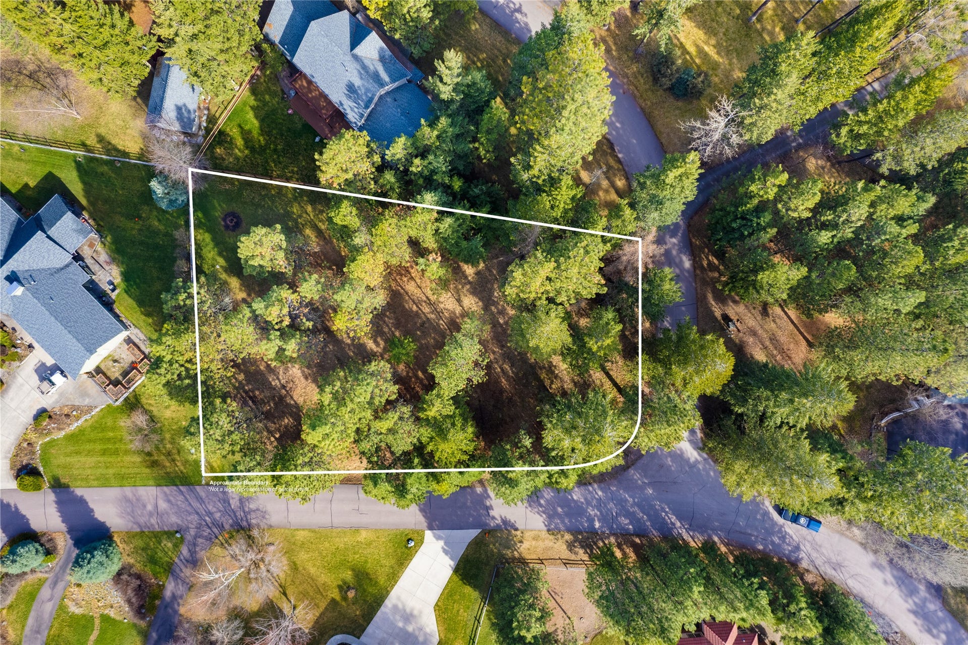 NHN Hilltop Terrace, Bigfork, MT 59911 Lot Lines & tree count