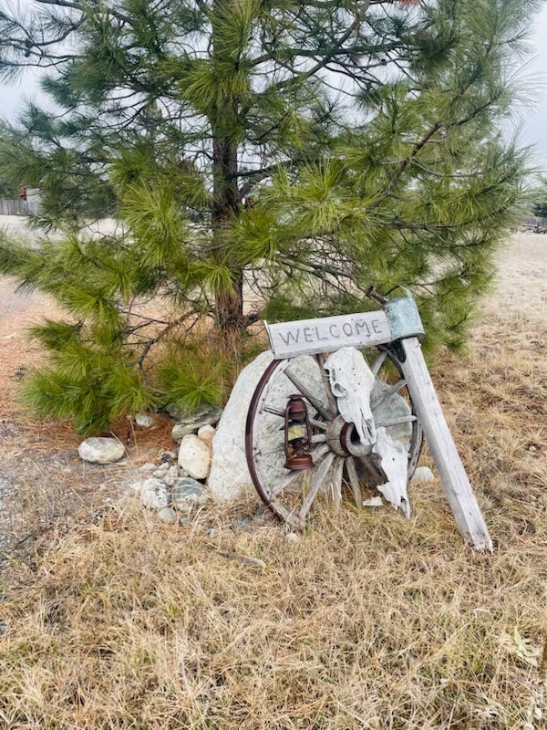 198 Acres Lane, Eureka, MT 59917 Welcome to "The Jeremiah Johnson Retreat"