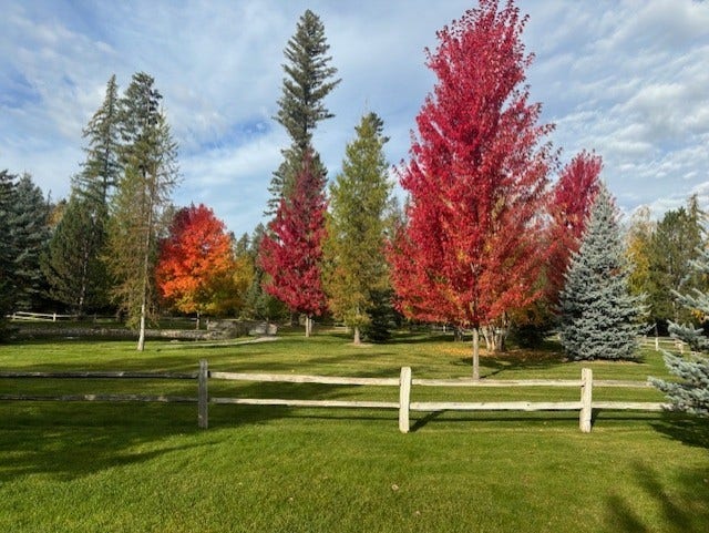 12284 Cygnet Way, Bigfork, MT 59911 With gorgeous fall foliage too