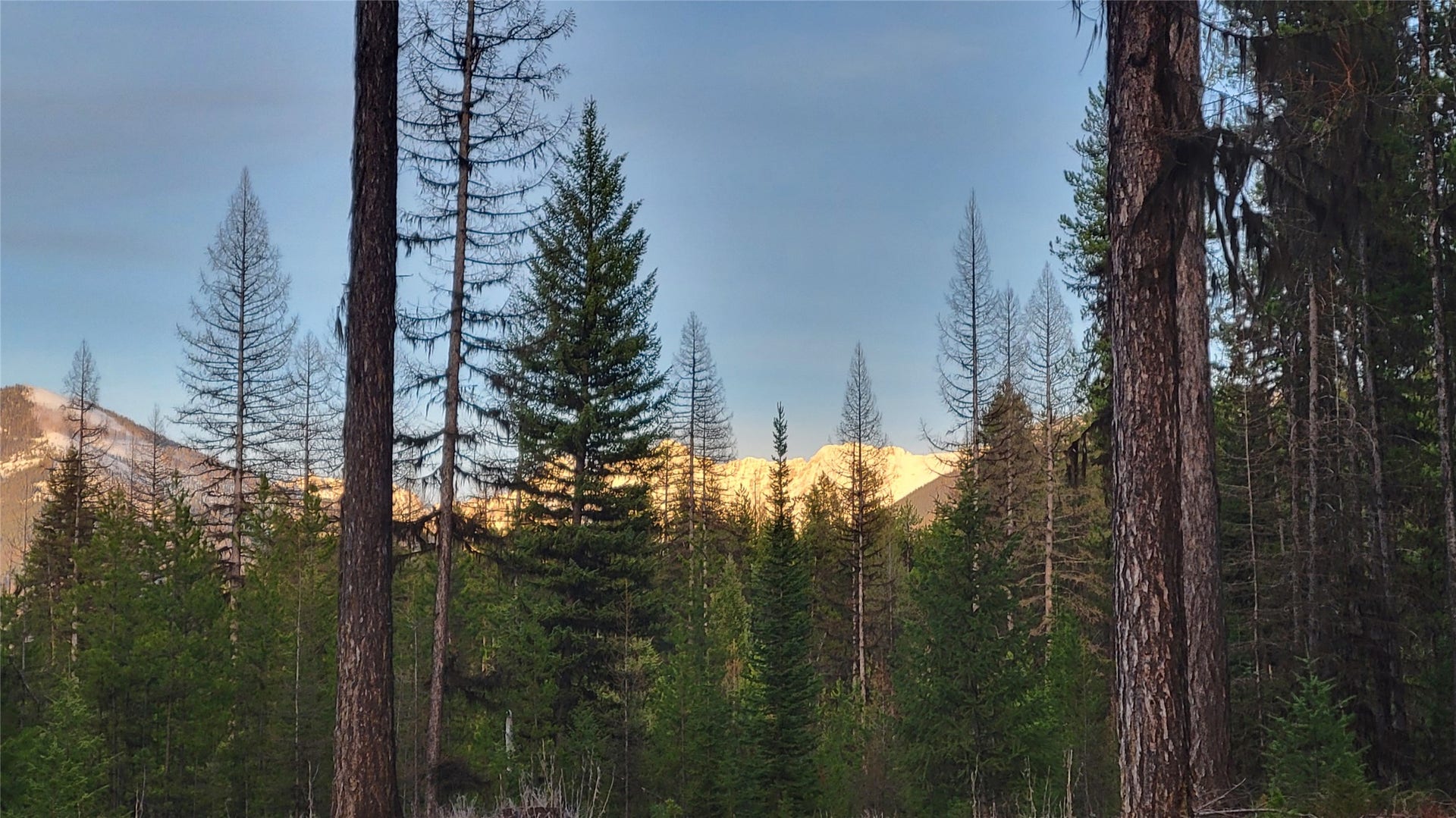34477 Shay Lake Road, Bigfork, MT 59911 34477 Shay Lake Road, Bigfork, MT 59911