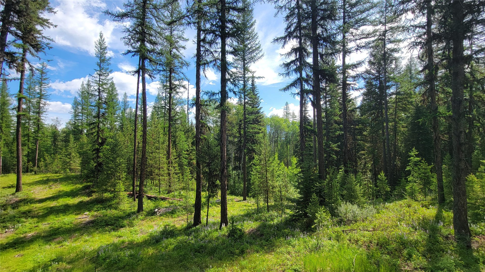 34477 Shay Lake Road, Bigfork, MT 59911 34477 Shay Lake Road, Bigfork, MT 59911