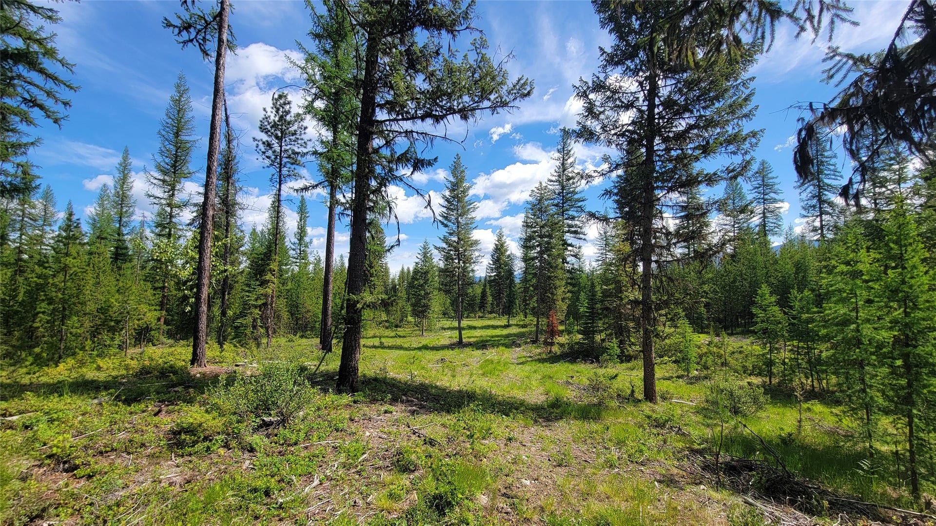 34477 Shay Lake Road, Bigfork, MT 59911 34477 Shay Lake Road, Bigfork, MT 59911